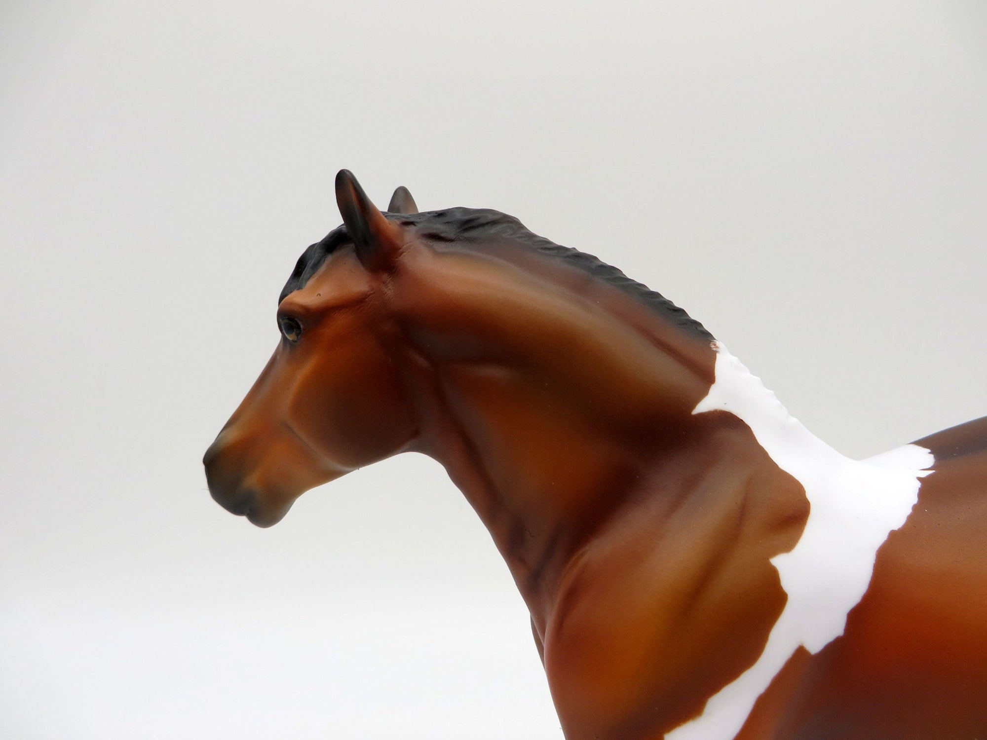 Virgil-OOAK Bay Pinto Trotting Pebbles Draft  Painted By Ellen Robbins EQ21