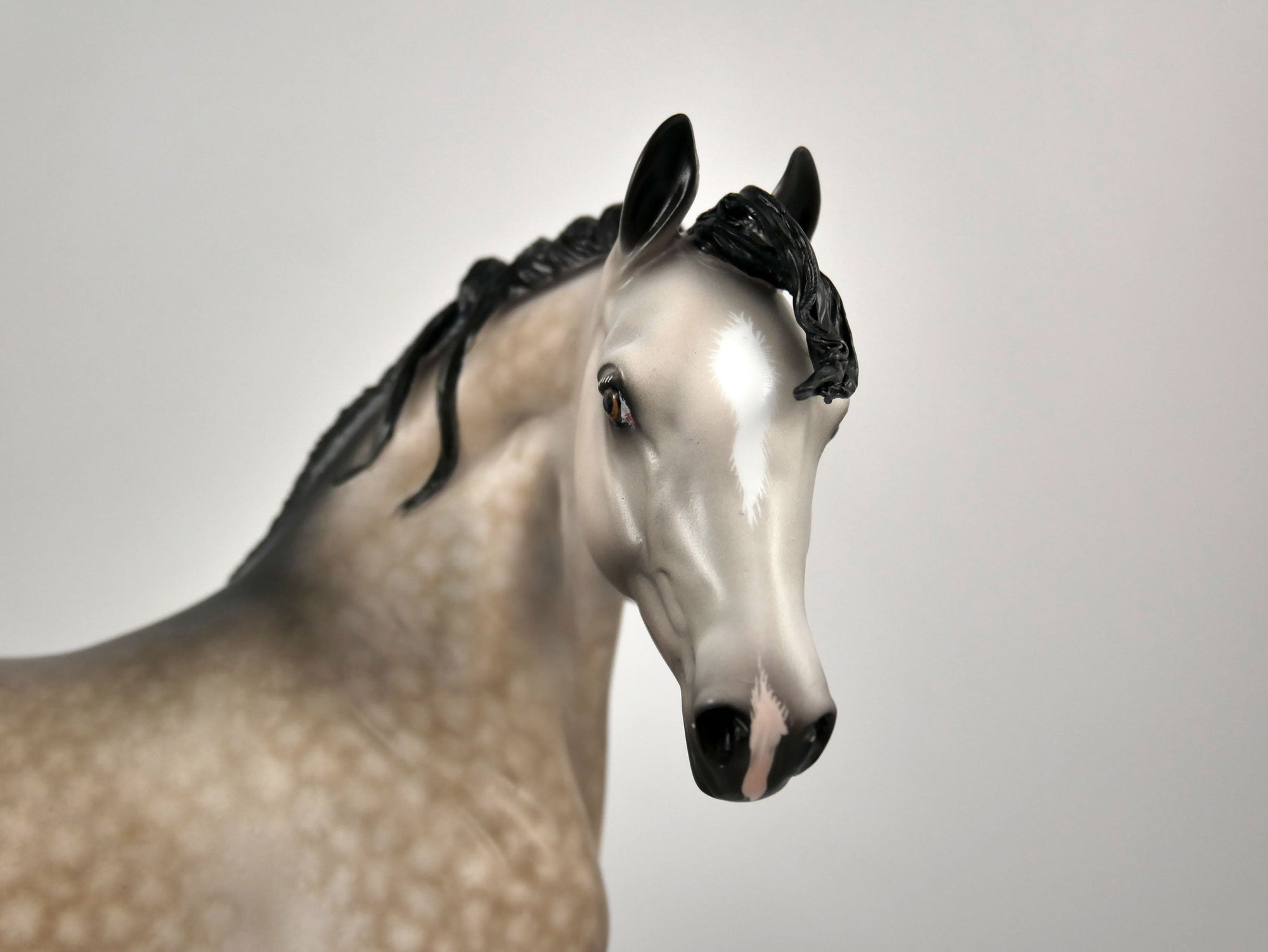 Vixen-OOAK Rose Grey Arabian Mare Painted By Sheryl Leisure 12/30/20