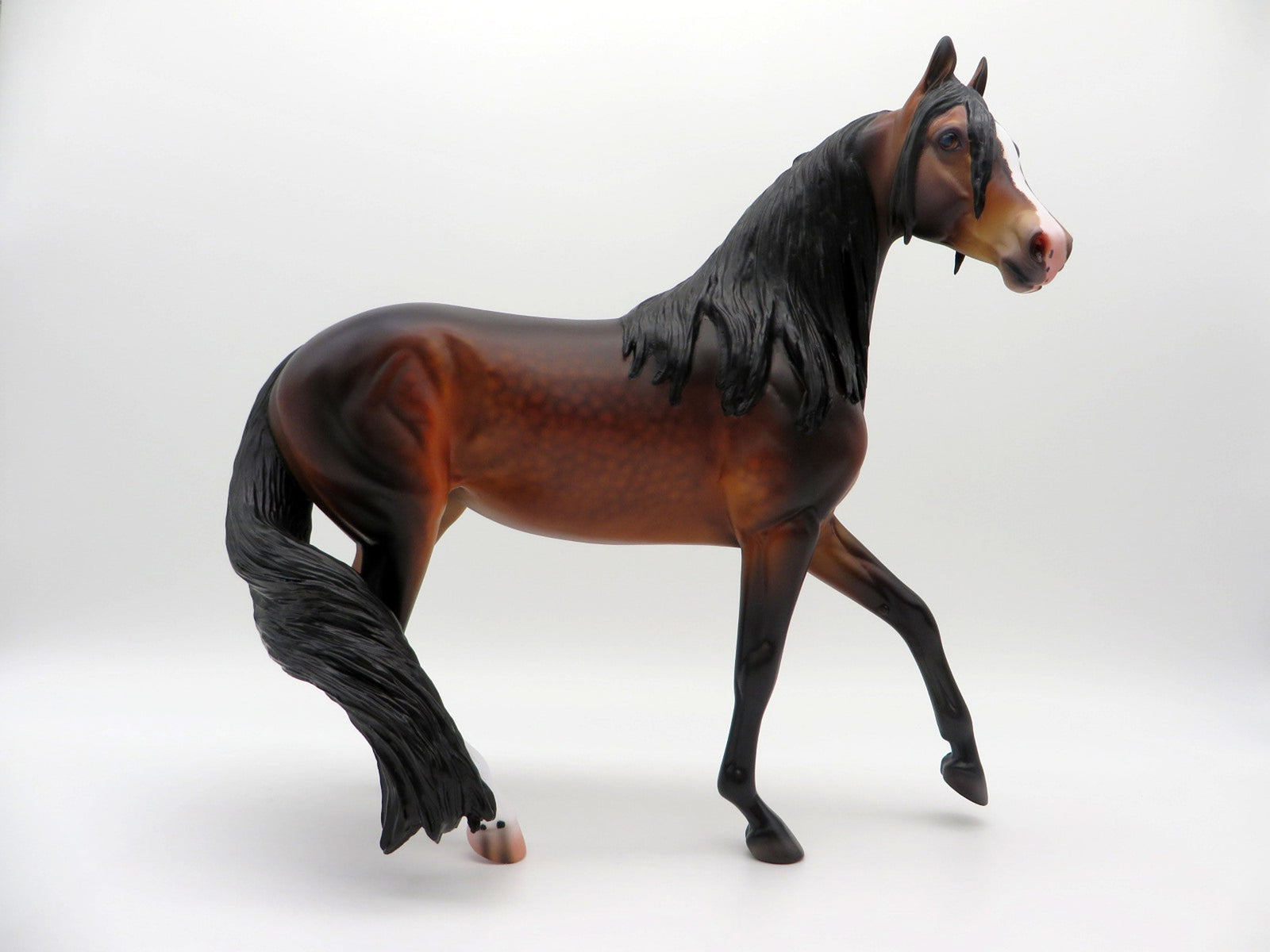 Volga-OOAK Dapple Bay Arabian Carlione Boydston 3/29/21