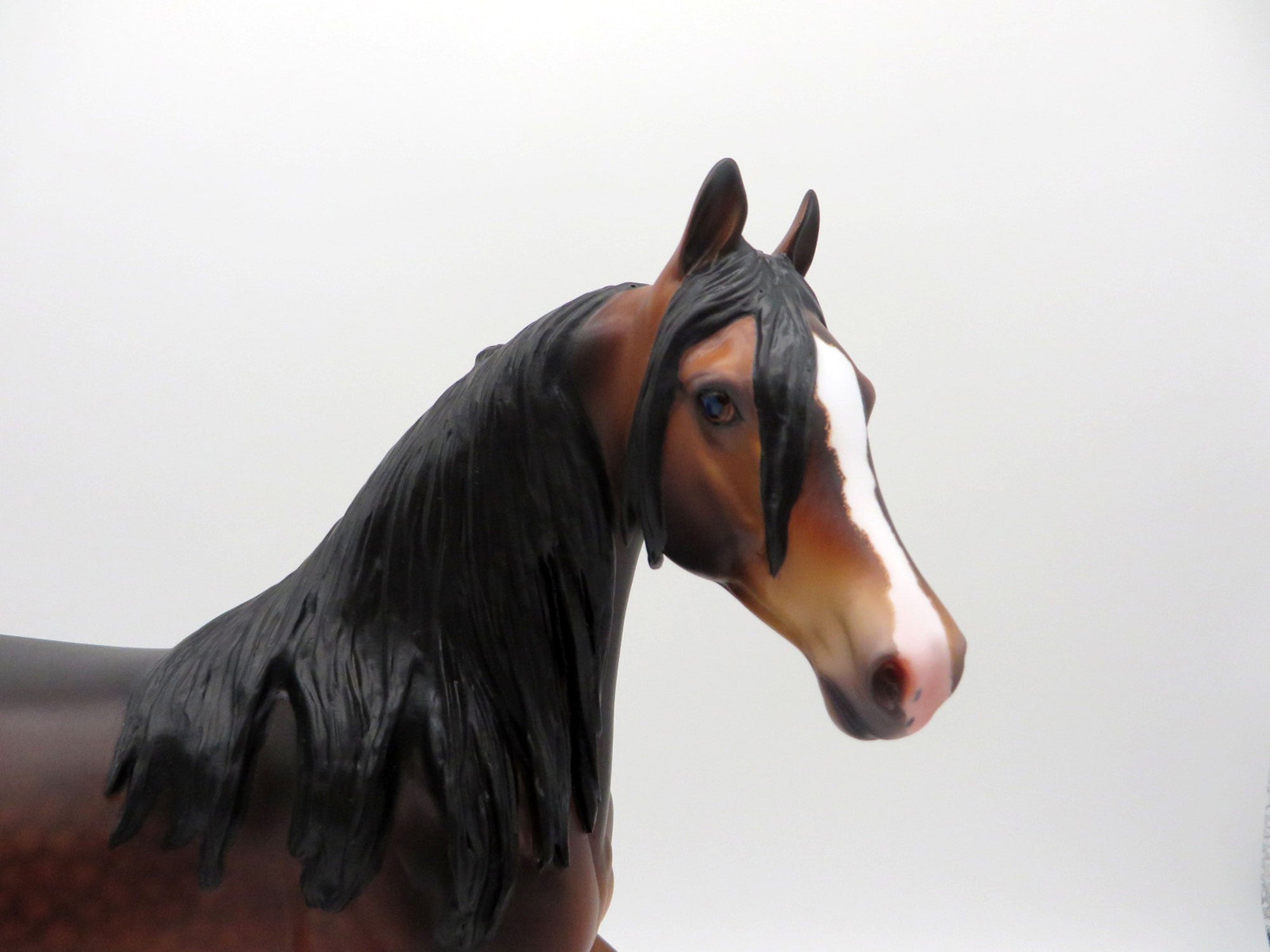 Volga-OOAK Dapple Bay Arabian Carlione Boydston 3/29/21