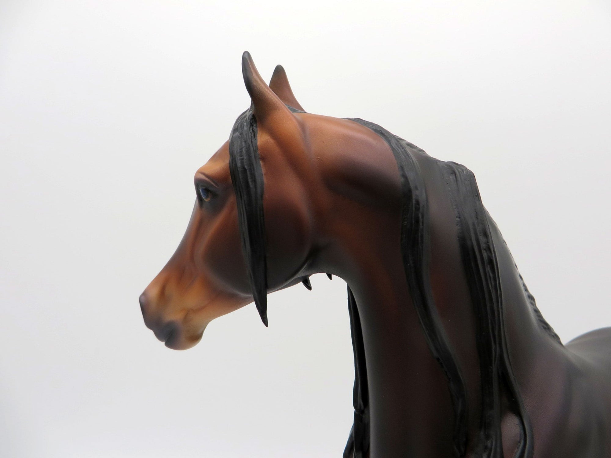 Volga-OOAK Dapple Bay Arabian Carlione Boydston 3/29/21