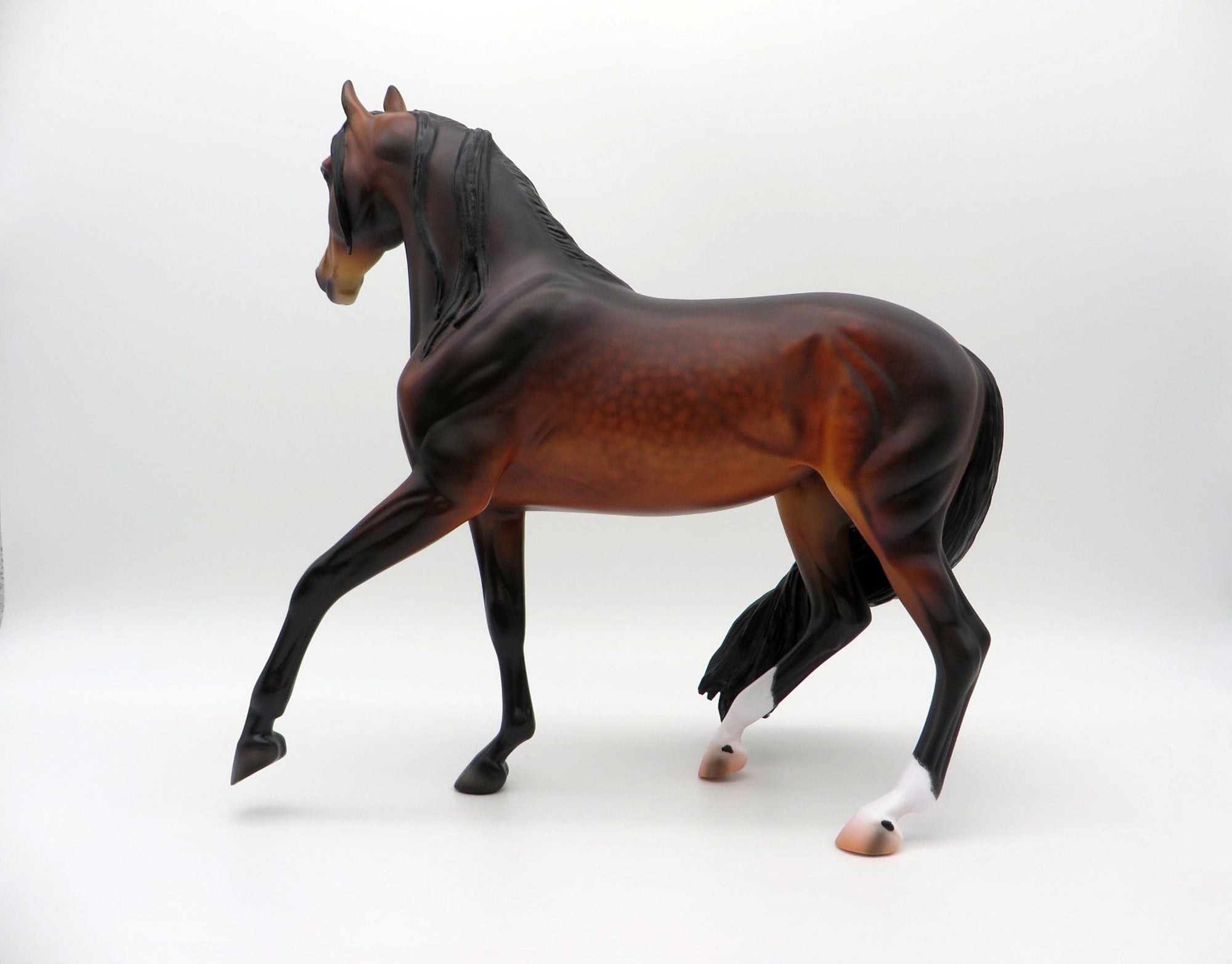 Volga-OOAK Dapple Bay Arabian Carlione Boydston 3/29/21