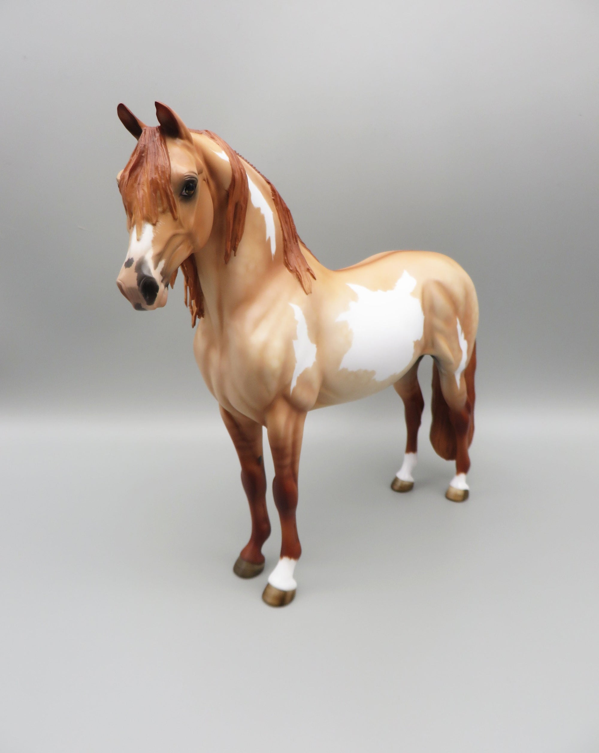 Voltaire - OOAK - Red Dun Overo Morgan By Angela Marleau - Best Offer 5/30/23