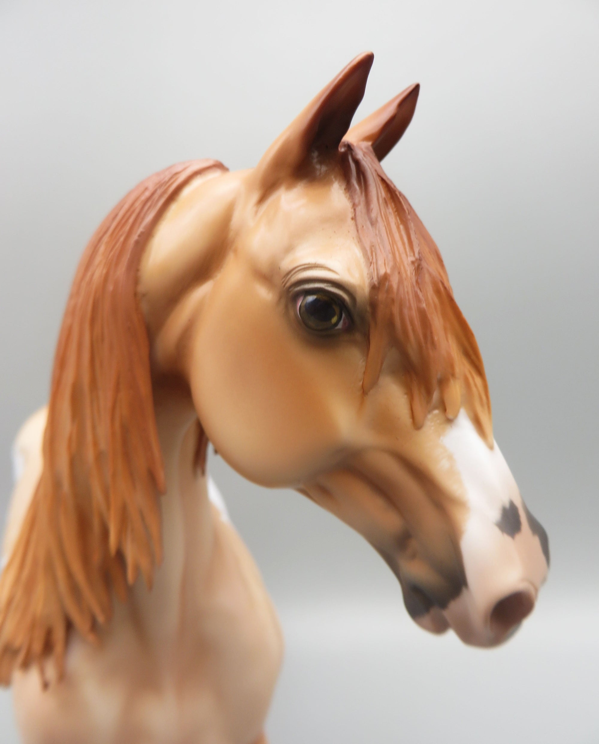 Voltaire - OOAK - Red Dun Overo Morgan By Angela Marleau - Best Offer 5/30/23