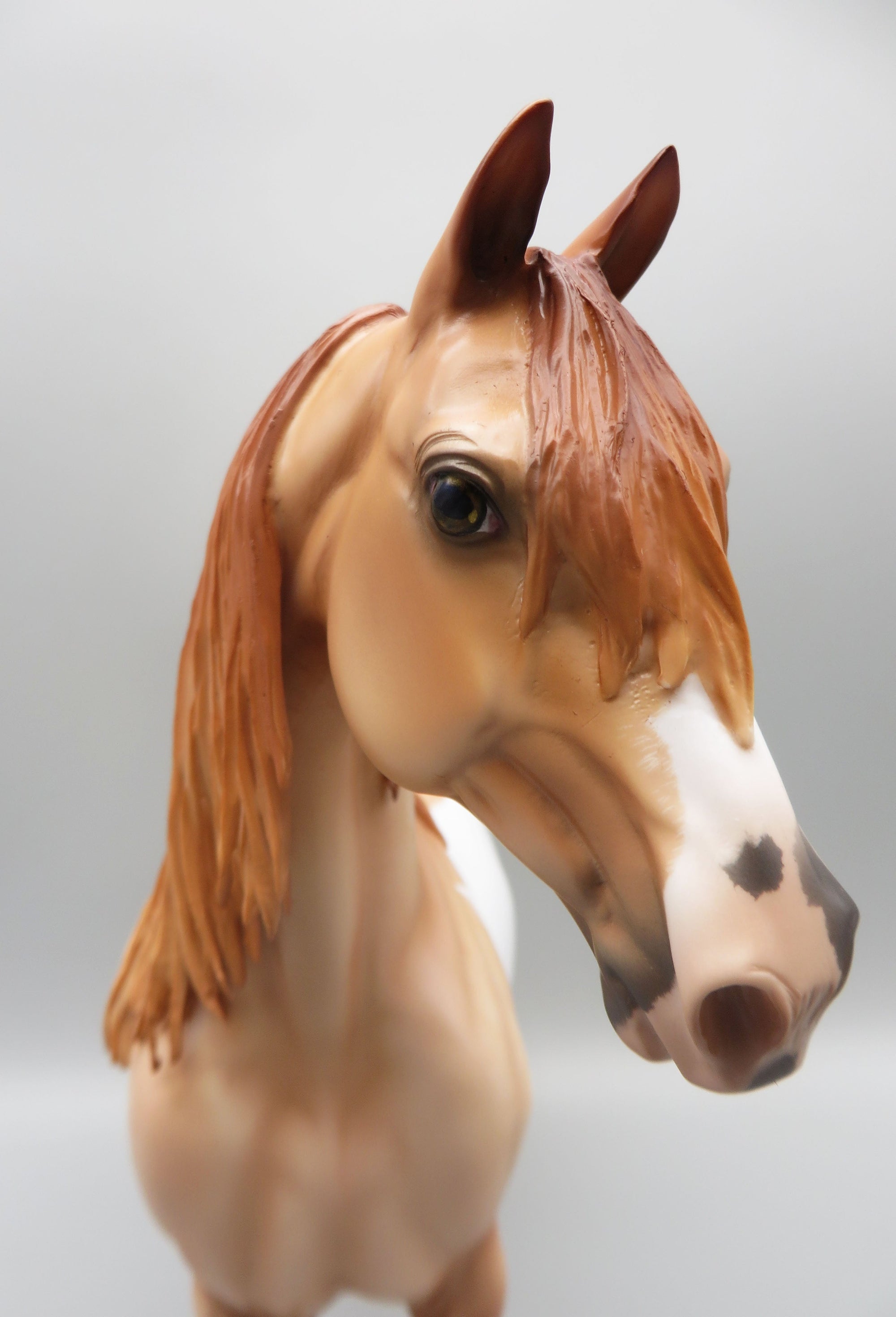 Voltaire - OOAK - Red Dun Overo Morgan By Angela Marleau - Best Offer 5/30/23