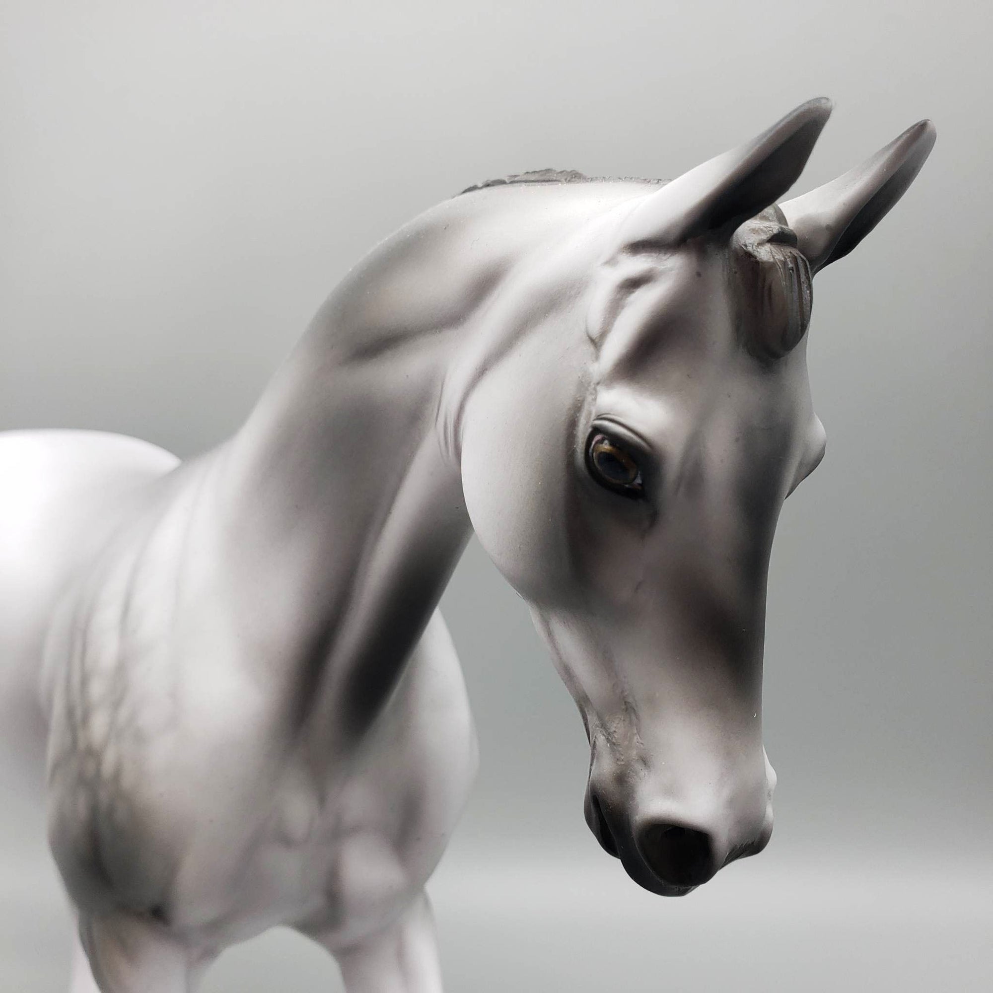 Vyke - OOAK - Dappled Grey Thoroughbred By Jess Hamill EQ23