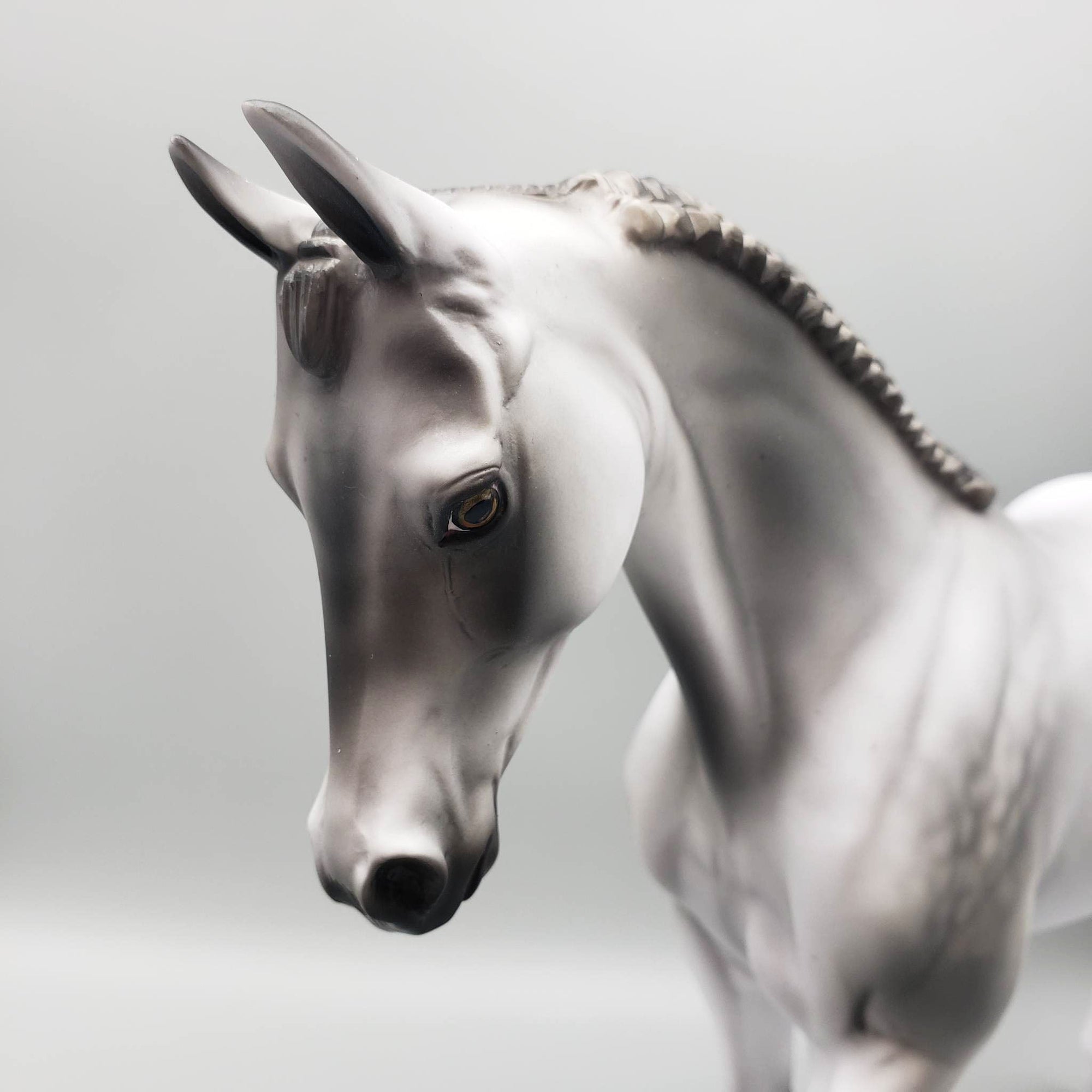Vyke - OOAK - Dappled Grey Thoroughbred By Jess Hamill EQ23