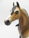 WHAT IT IS - OOAK - BUCKSKIN ARABIAN STALLION - PAINTED BY SHERYL LEISURE - BEST OFFERS - 10/21/22.