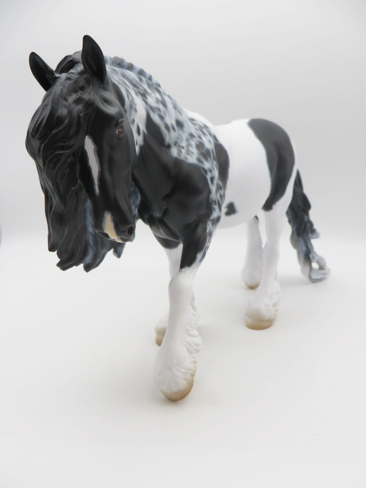 WINDKISS - OOAK - BLACK TOBIANO COBB WITH INTENSE CAT PATTERN By Myla Pearce Best Offer 9/30/22