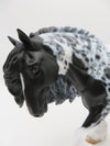 WINDKISS - OOAK - BLACK TOBIANO COBB WITH INTENSE CAT PATTERN By Myla Pearce Best Offer 9/30/22