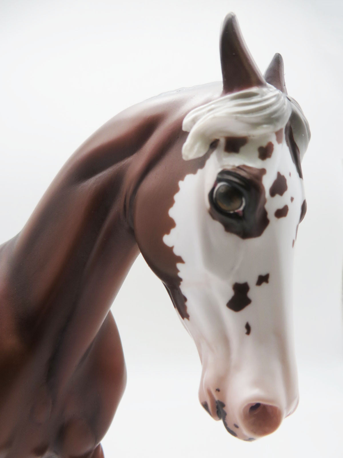 Wolf-Horse LE 30 - Silver Bay Sabino with Wolf Print Marks by Ellen Robbins MM22