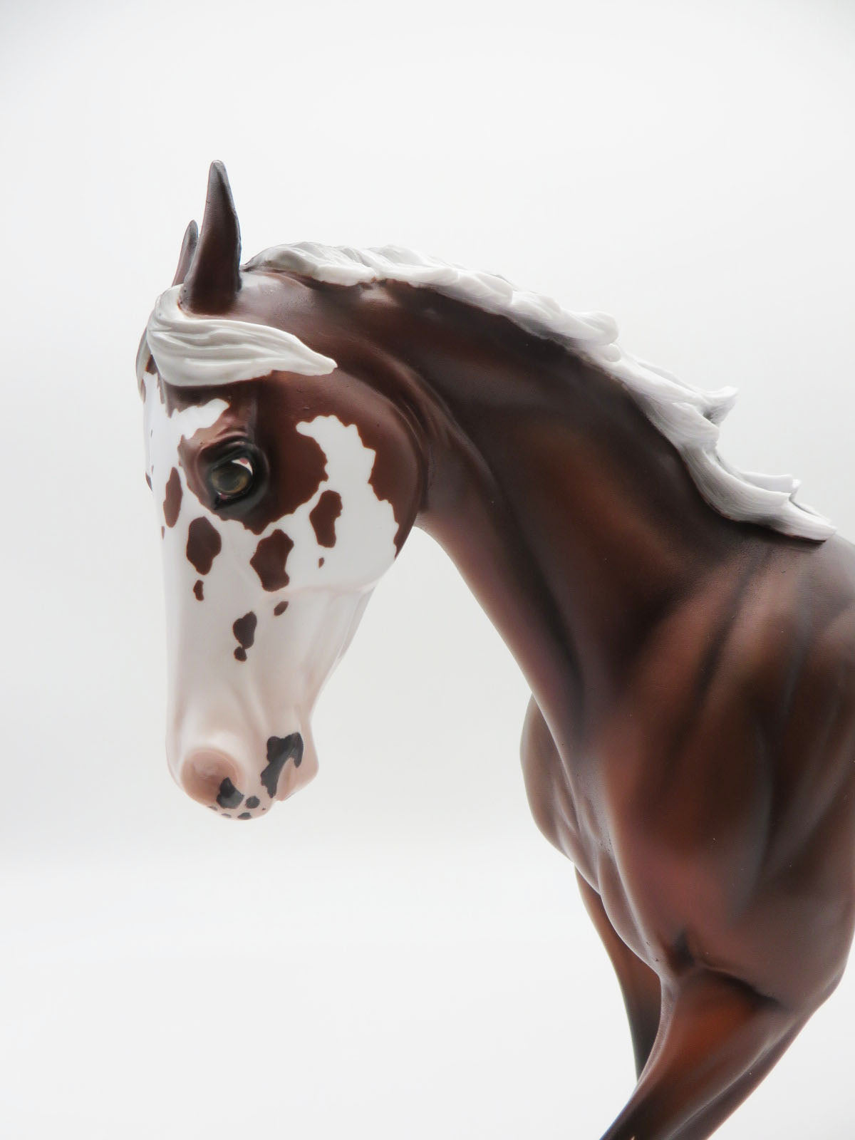 Wolf-Horse LE 30 - Silver Bay Sabino with Wolf Print Marks by Ellen Robbins MM22