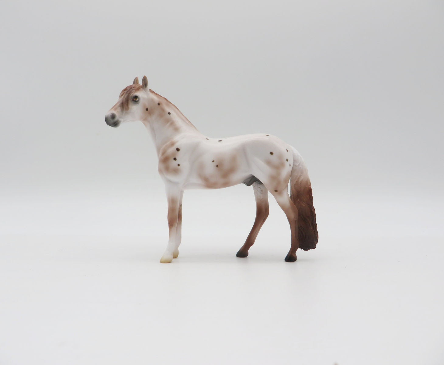 Woodsy - LE 10 (5/5) Appy Andalusian Chip by Ellen Robbins LHS 22