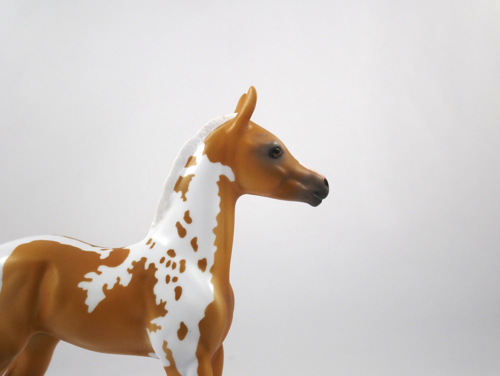 Wanna Play?-OOAK Palomino Paint Foal 1/29/21