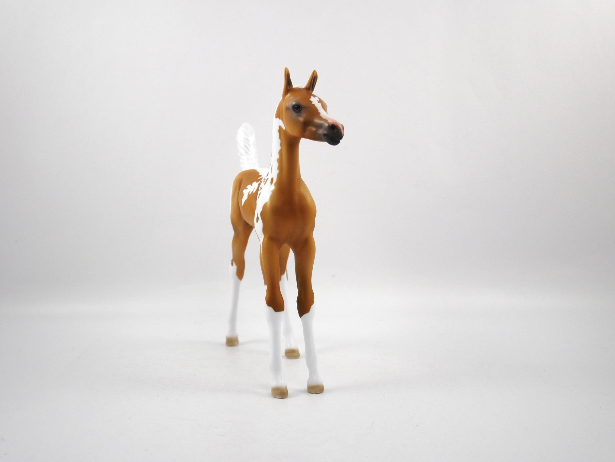 Wanna Play?-OOAK Palomino Paint Foal 1/29/21