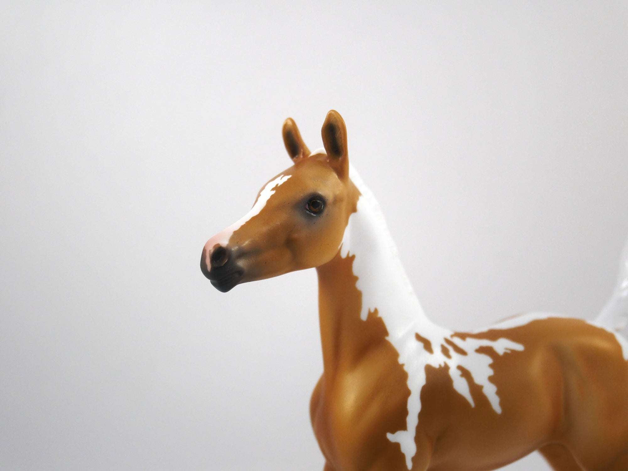 Wanna Play?-OOAK Palomino Paint Foal 1/29/21