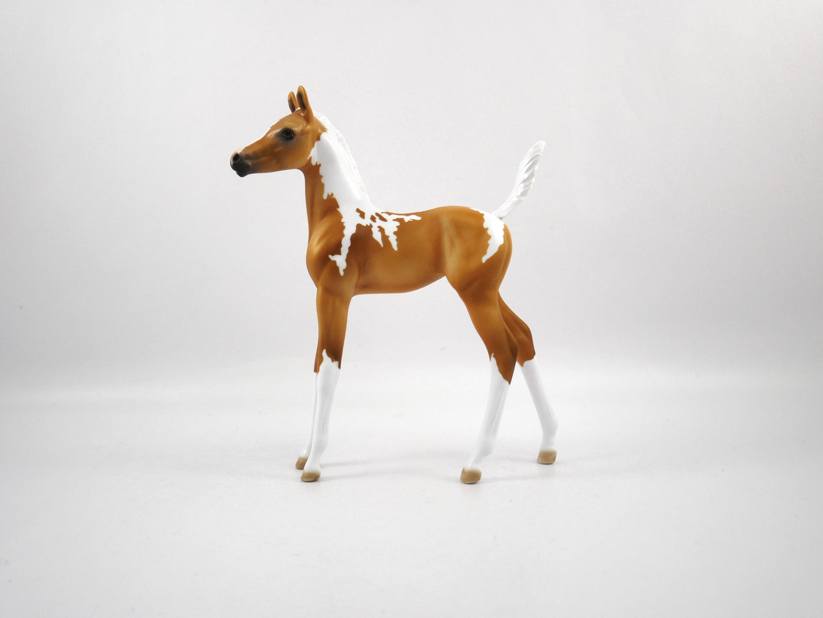 Wanna Play?-OOAK Palomino Paint Foal 1/29/21