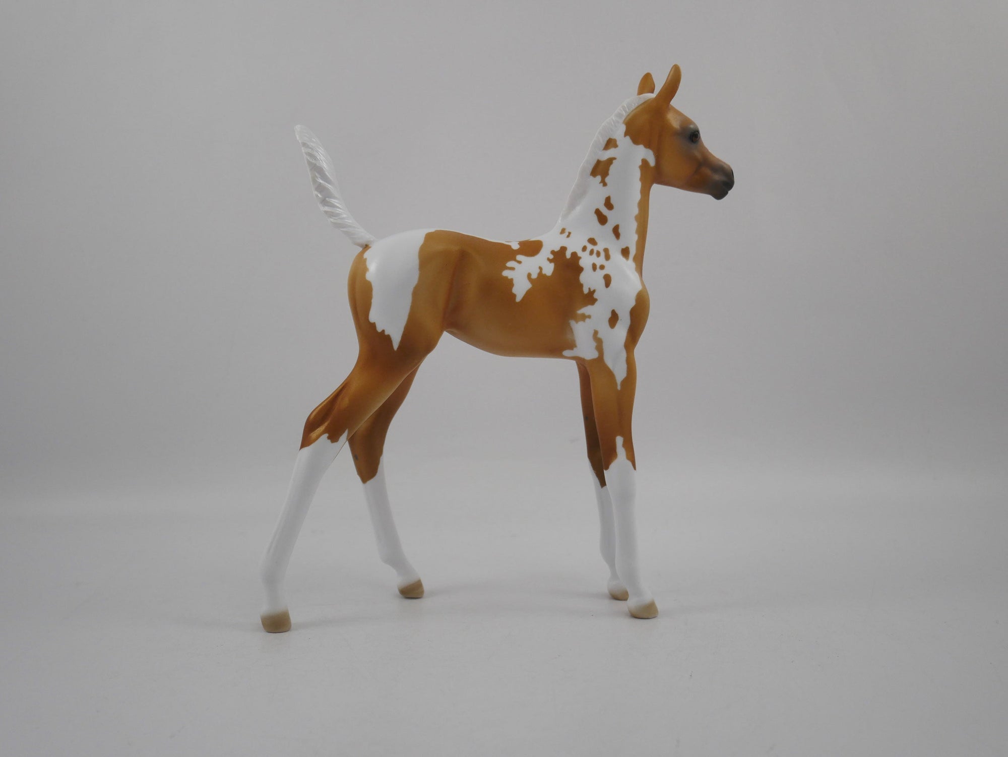 Wanna Play?-OOAK Palomino Paint Foal 1/29/21