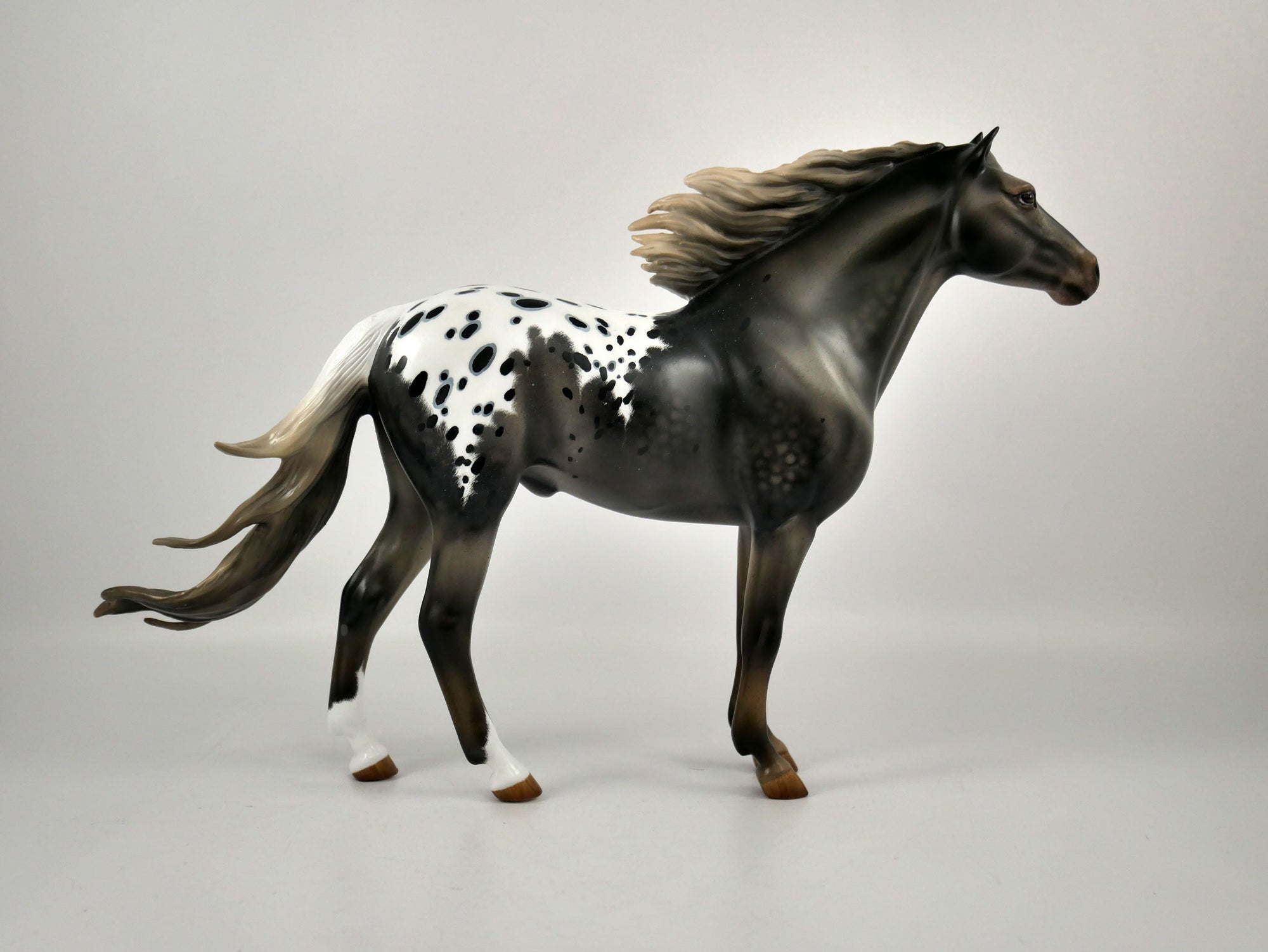 WARM SPRINGS-OOAK APPALOOSA  MUSTANG BY AUDREY DIXON 12/21/20