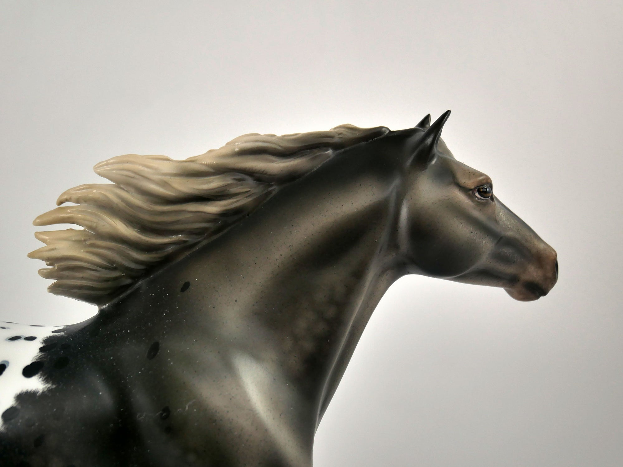 WARM SPRINGS-OOAK APPALOOSA  MUSTANG BY AUDREY DIXON 12/21/20