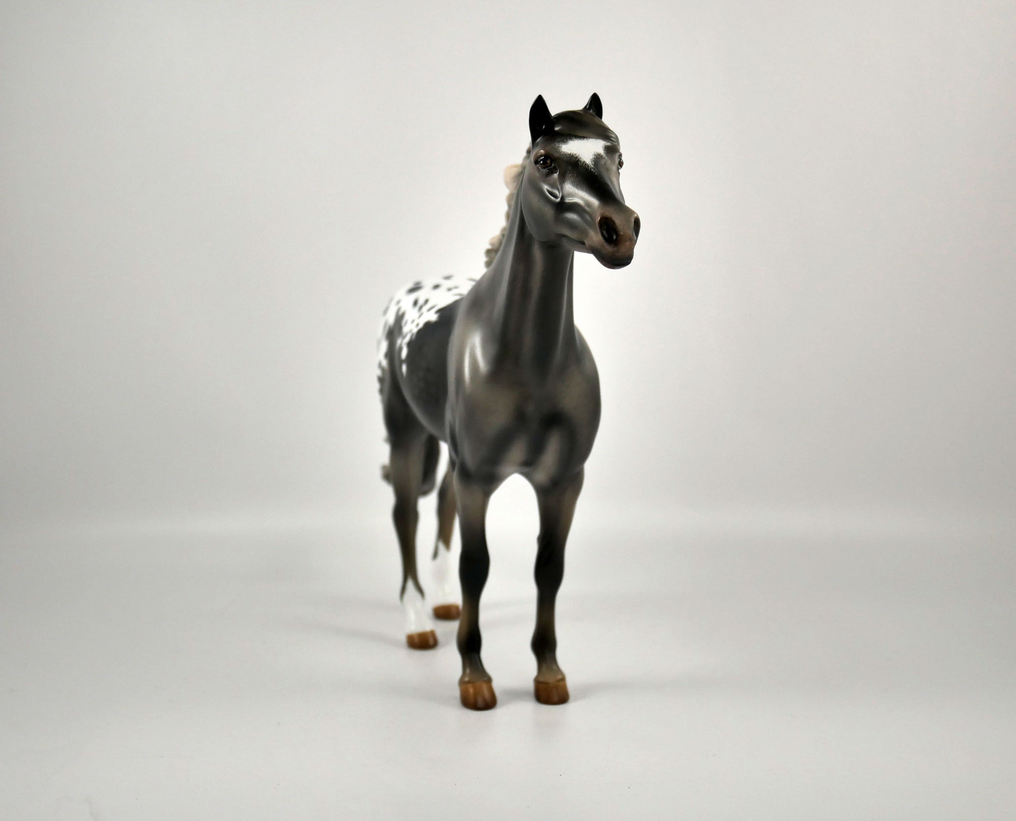 WARM SPRINGS-OOAK APPALOOSA  MUSTANG BY AUDREY DIXON 12/21/20