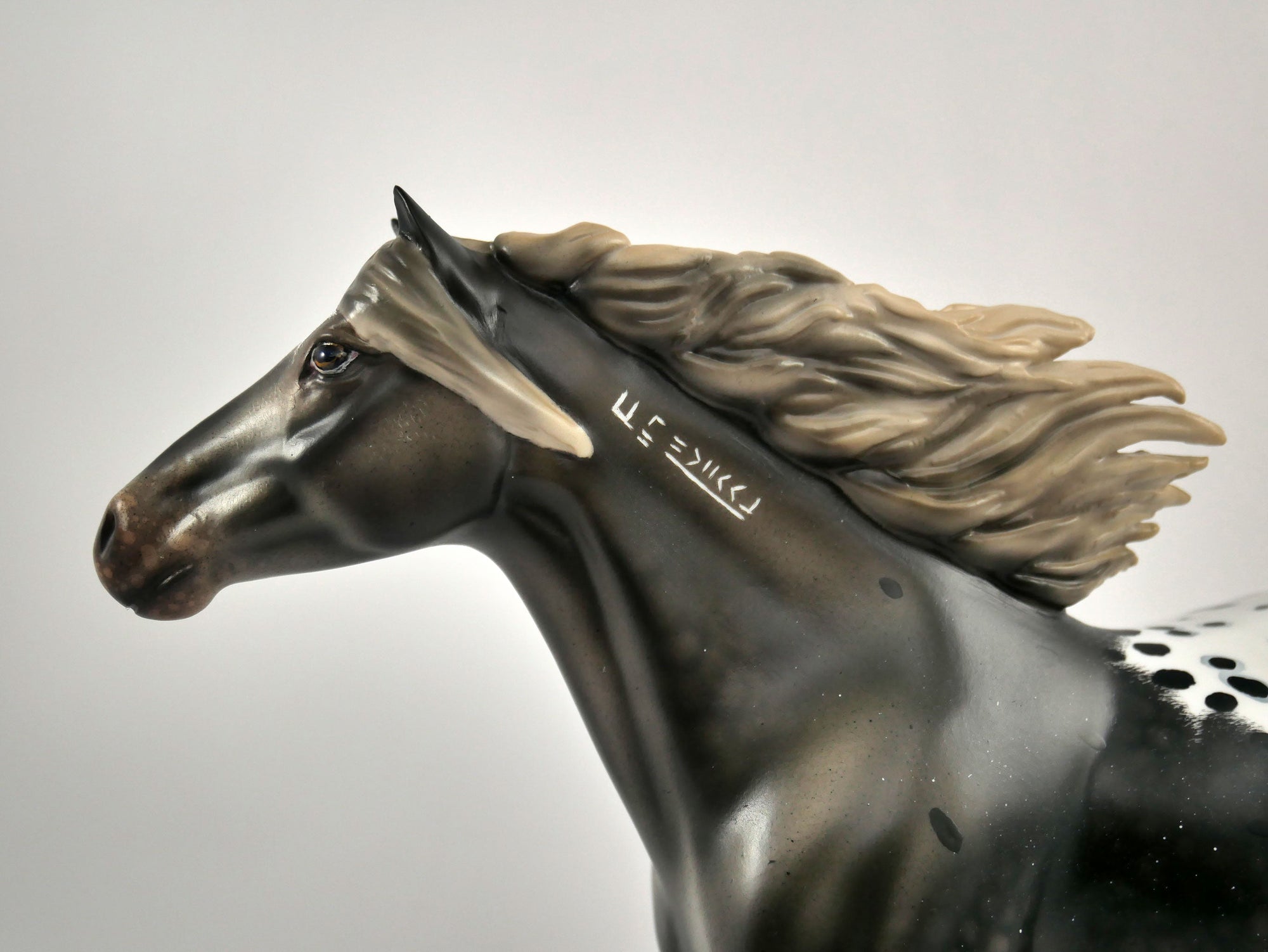 WARM SPRINGS-OOAK APPALOOSA  MUSTANG BY AUDREY DIXON 12/21/20