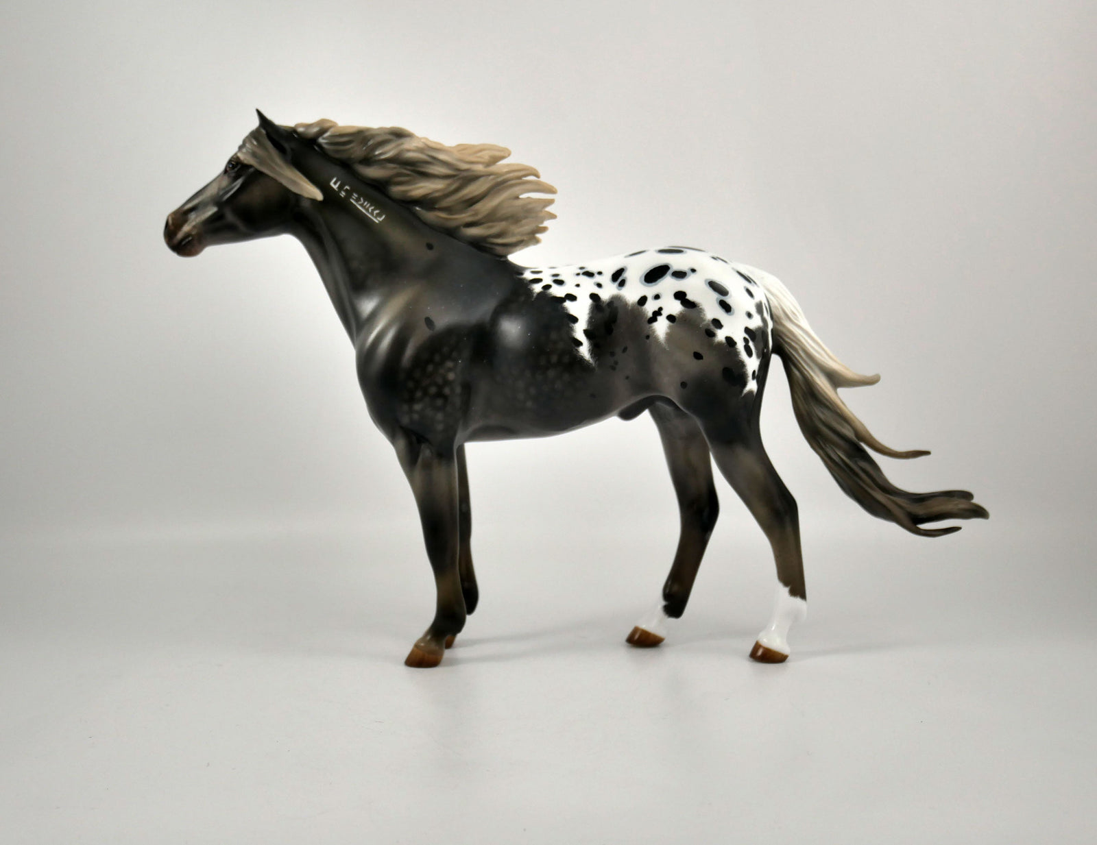 WARM SPRINGS-OOAK APPALOOSA  MUSTANG BY AUDREY DIXON 12/21/20
