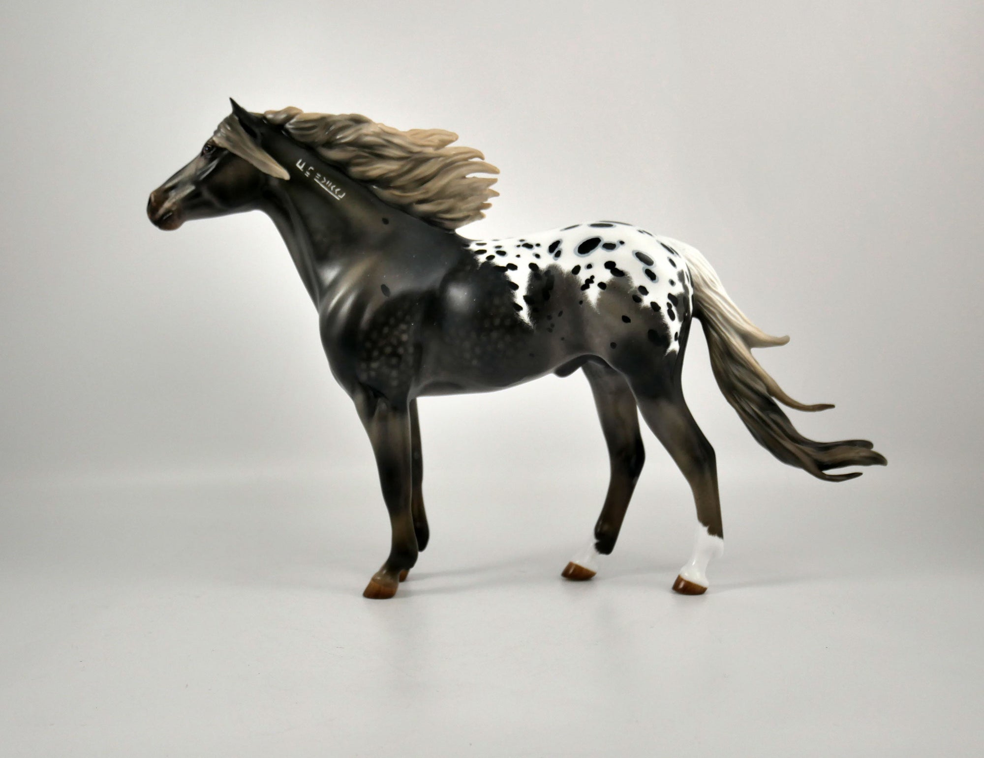 WARM SPRINGS-OOAK APPALOOSA  MUSTANG BY AUDREY DIXON 12/21/20