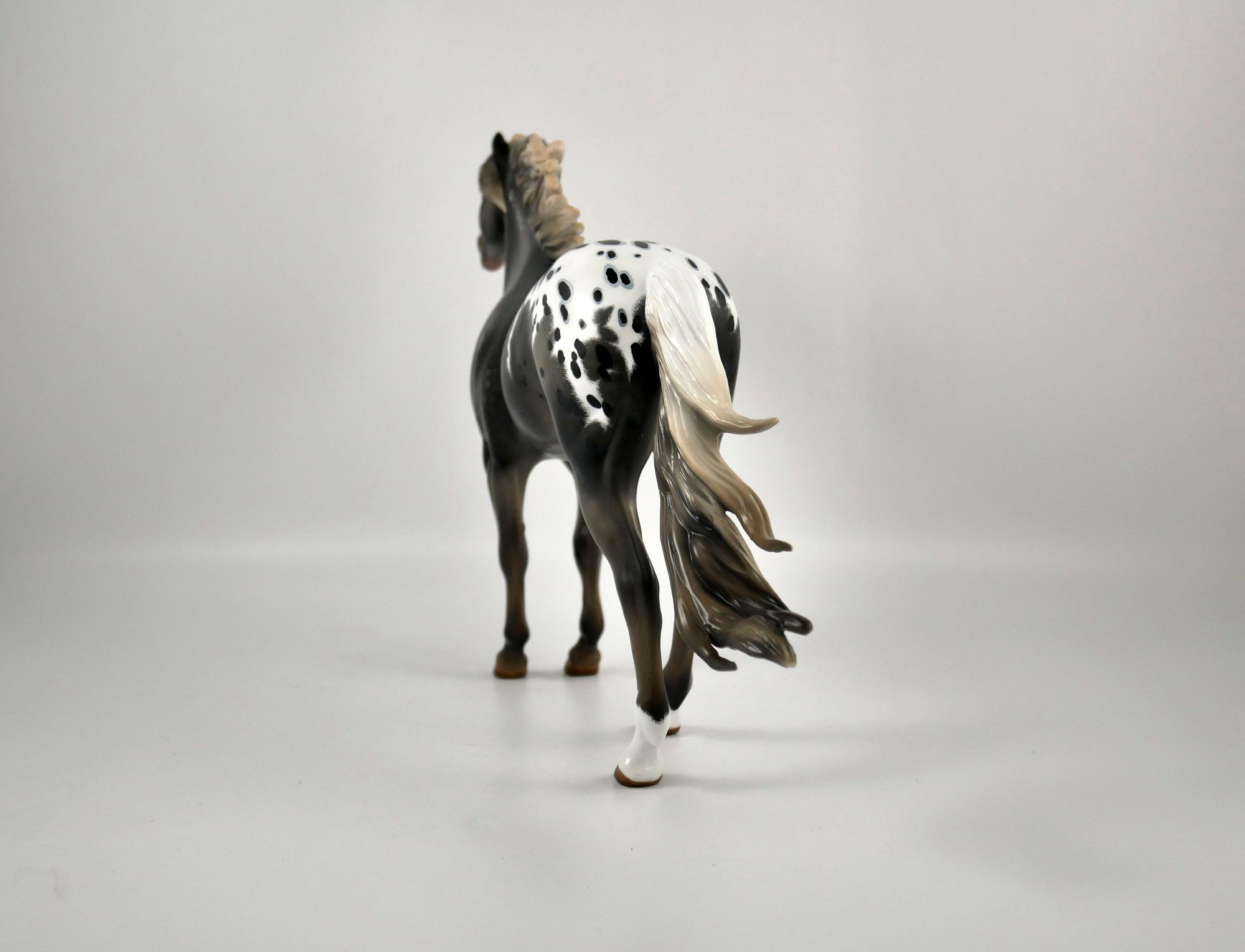 WARM SPRINGS-OOAK APPALOOSA  MUSTANG BY AUDREY DIXON 12/21/20