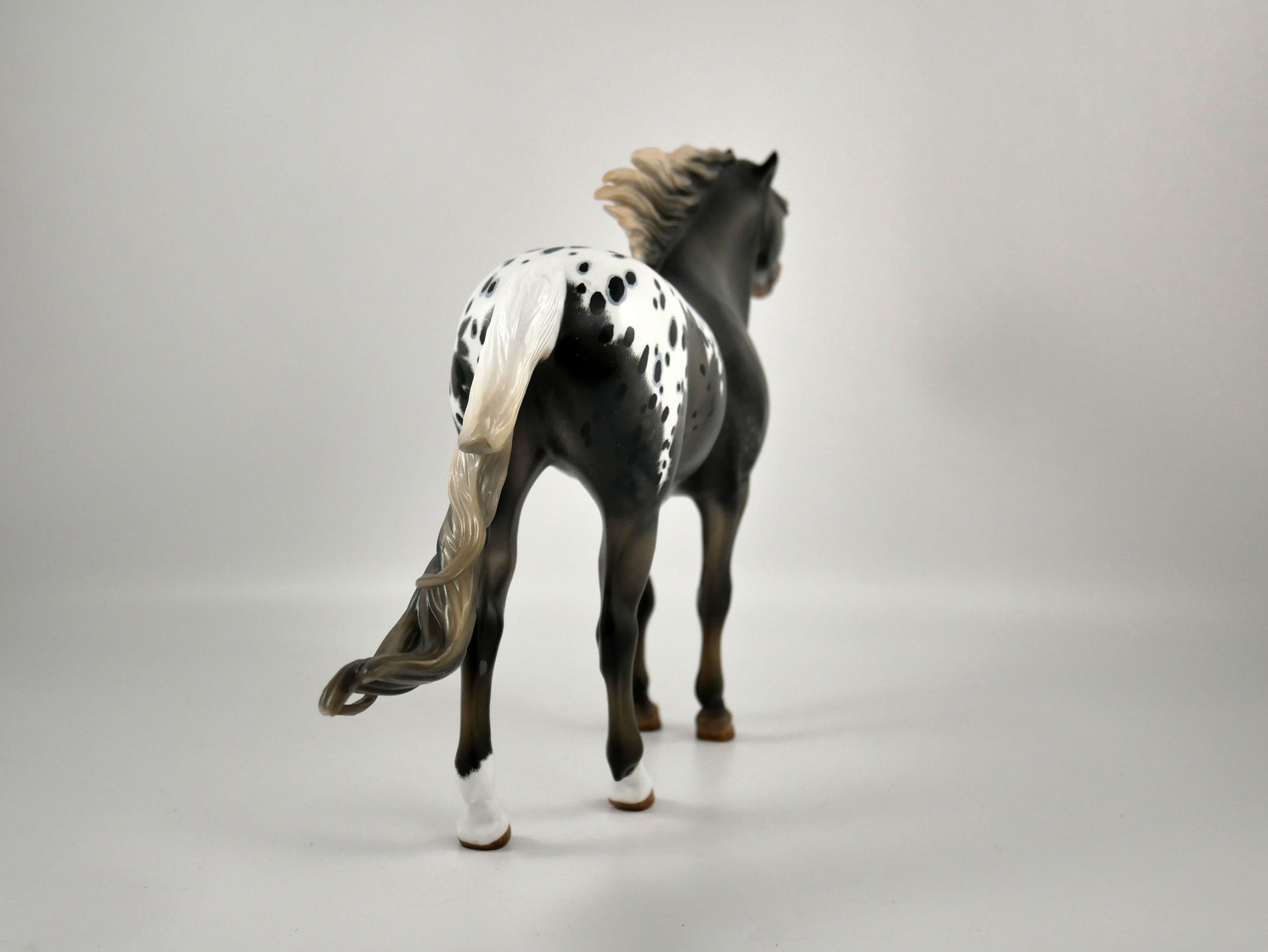 WARM SPRINGS-OOAK APPALOOSA  MUSTANG BY AUDREY DIXON 12/21/20