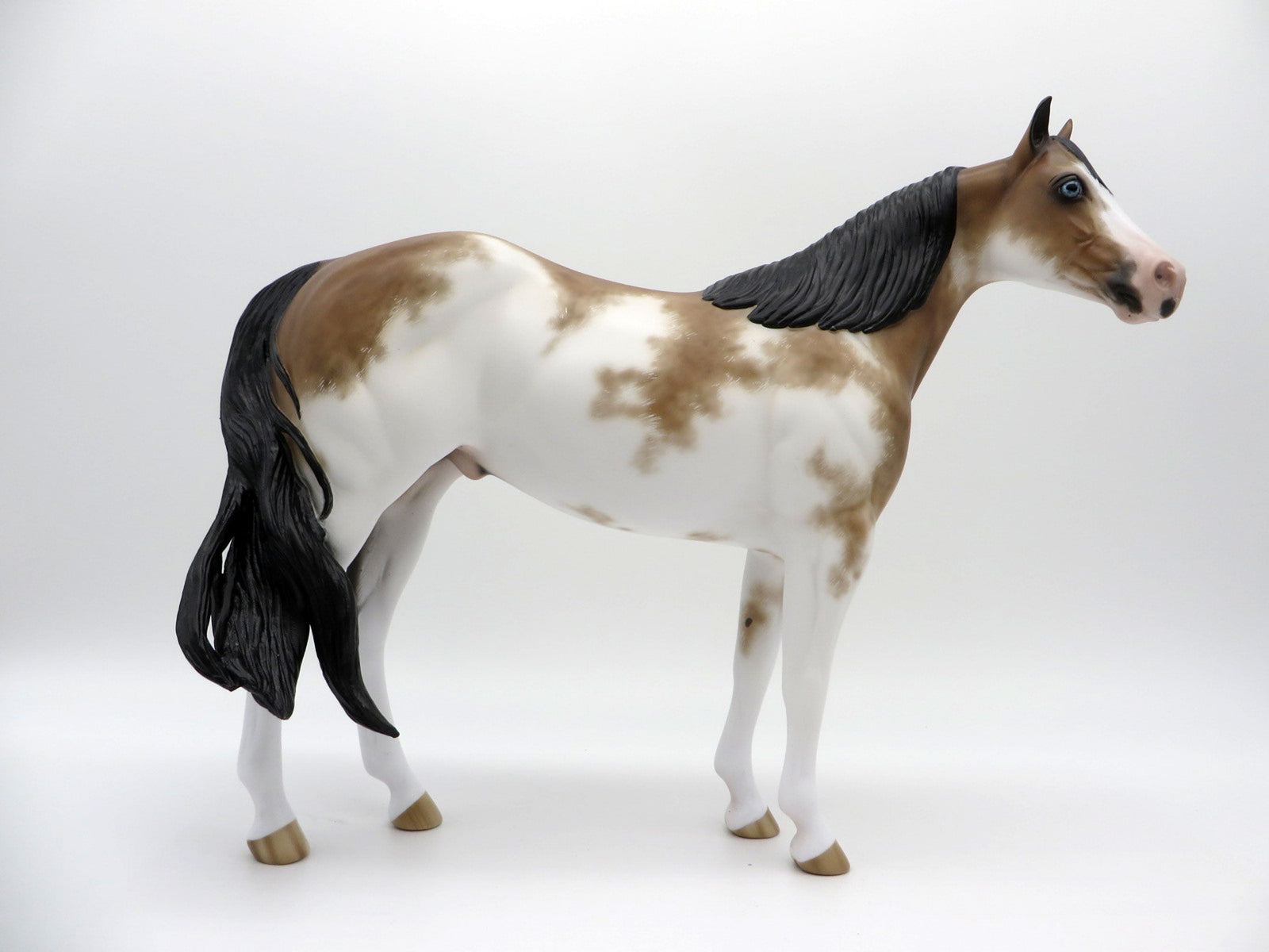 Warner-OOAK Chestnt Sabino ISH By Sheryl Leisure 3/29/21