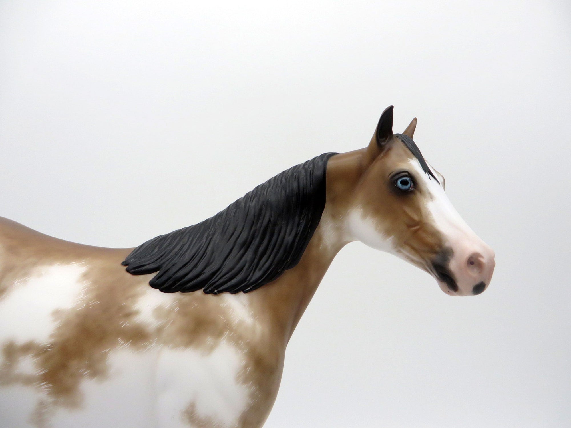 Warner-OOAK Chestnt Sabino ISH By Sheryl Leisure 3/29/21