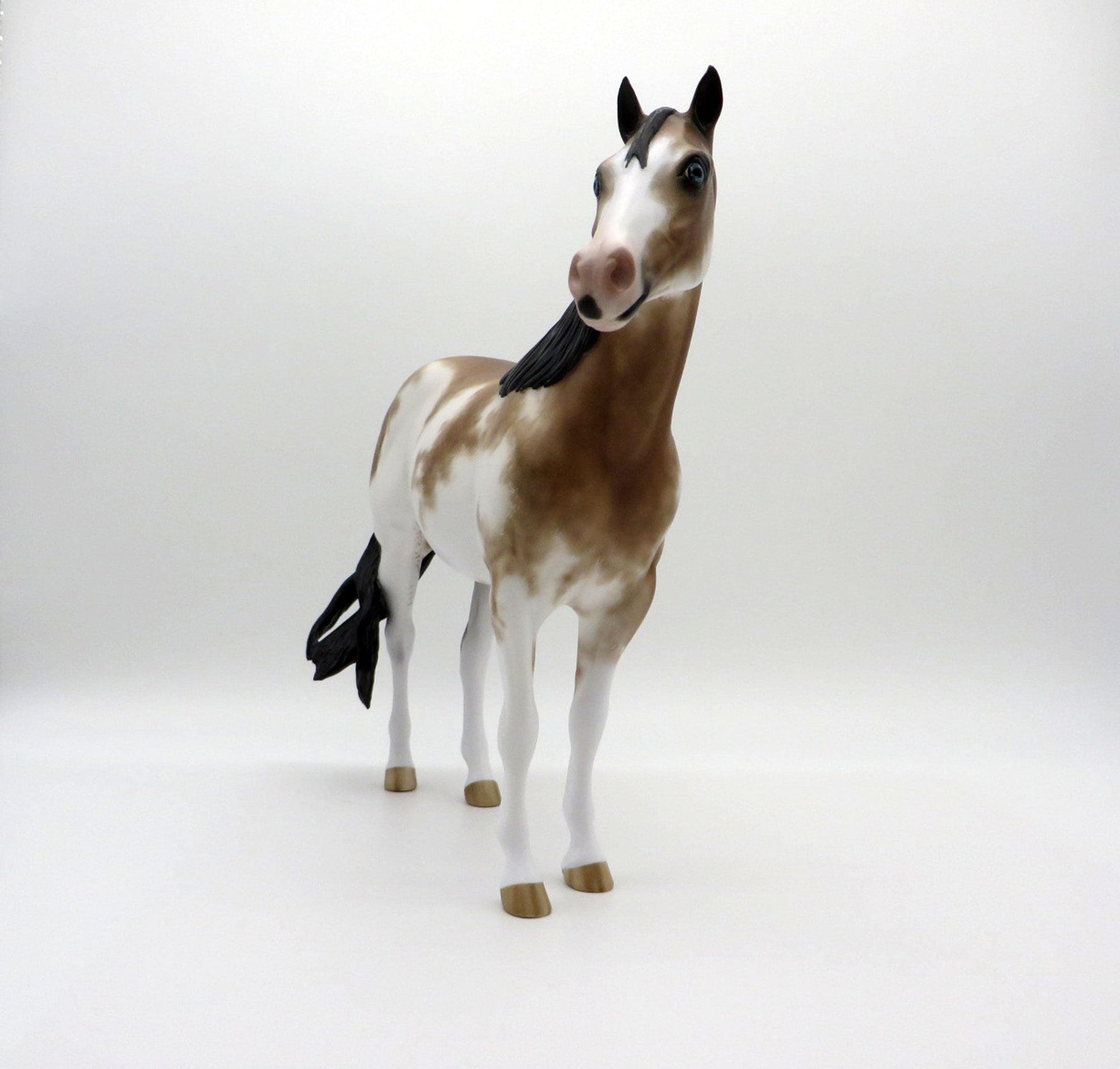 Warner-OOAK Chestnt Sabino ISH By Sheryl Leisure 3/29/21