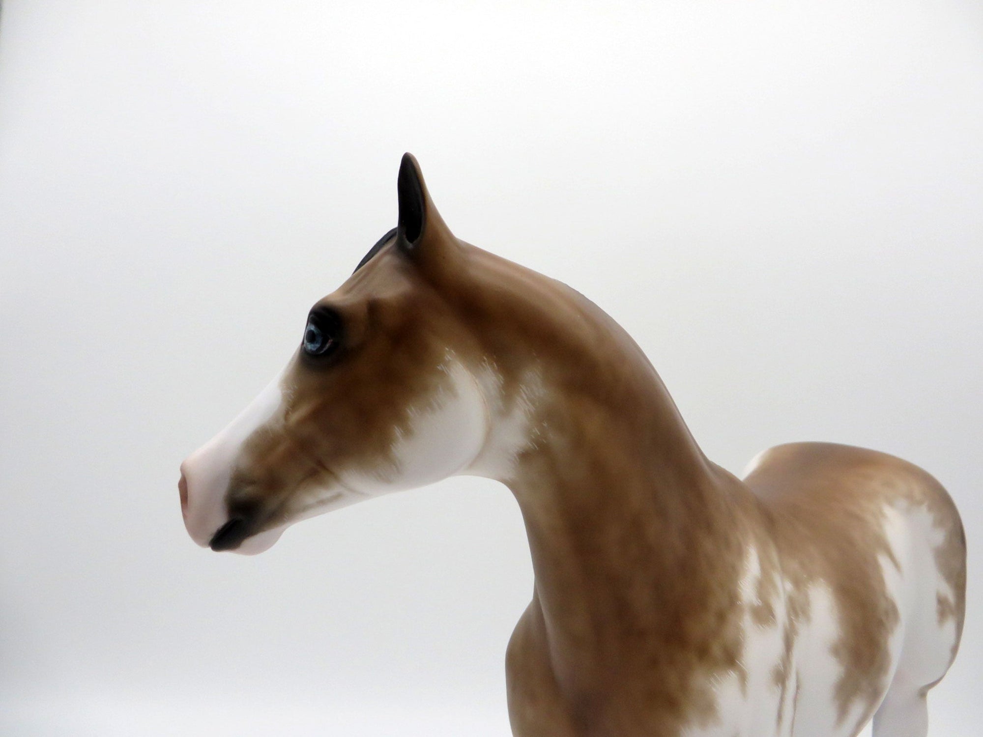 Warner-OOAK Chestnt Sabino ISH By Sheryl Leisure 3/29/21