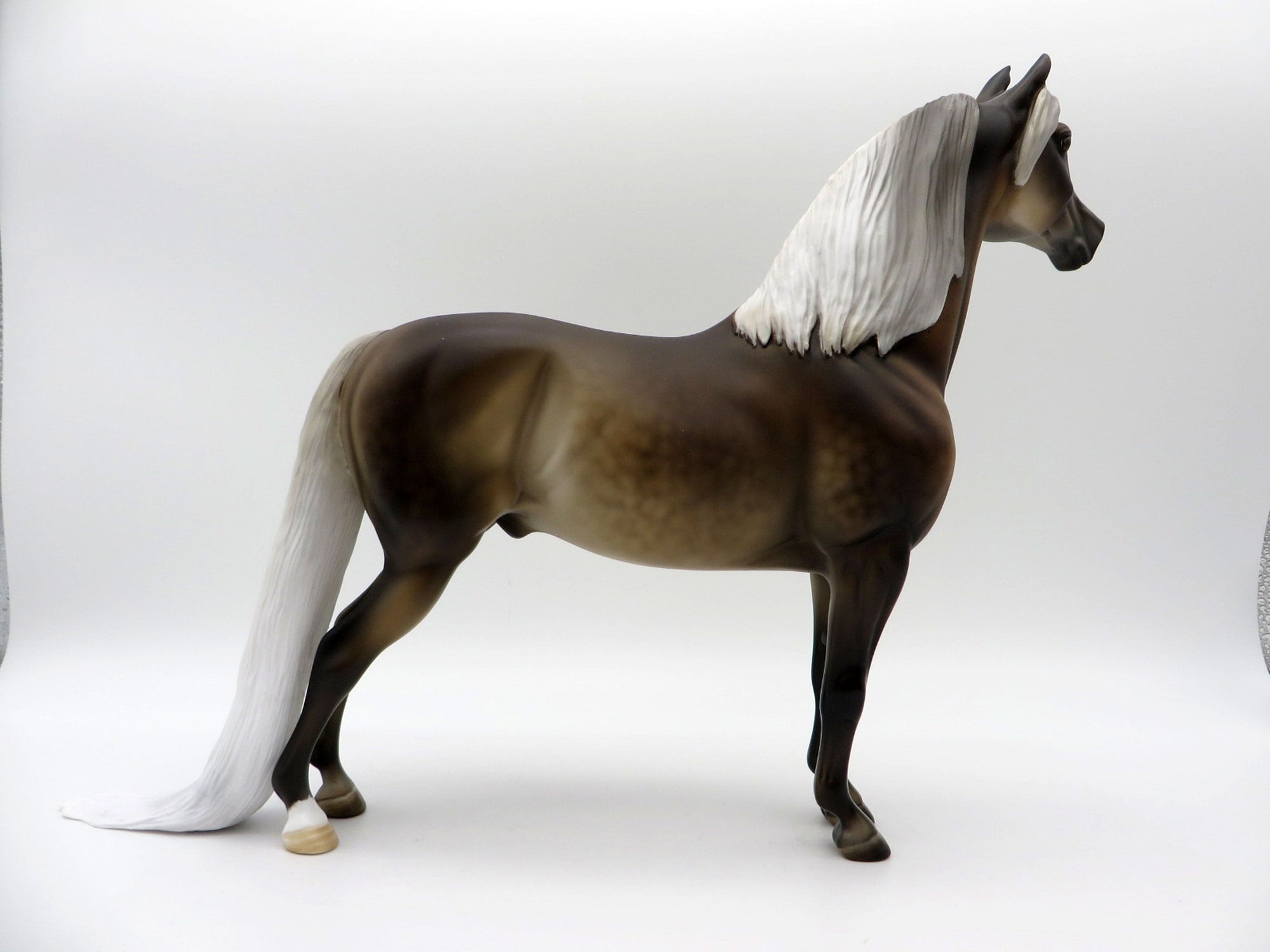 The Weatherman-LE-11 Silver Dapple Morgan  SHCF 2021