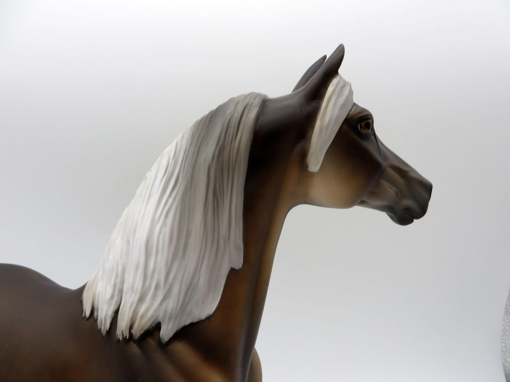 The Weatherman-LE-11 Silver Dapple Morgan  SHCF 2021