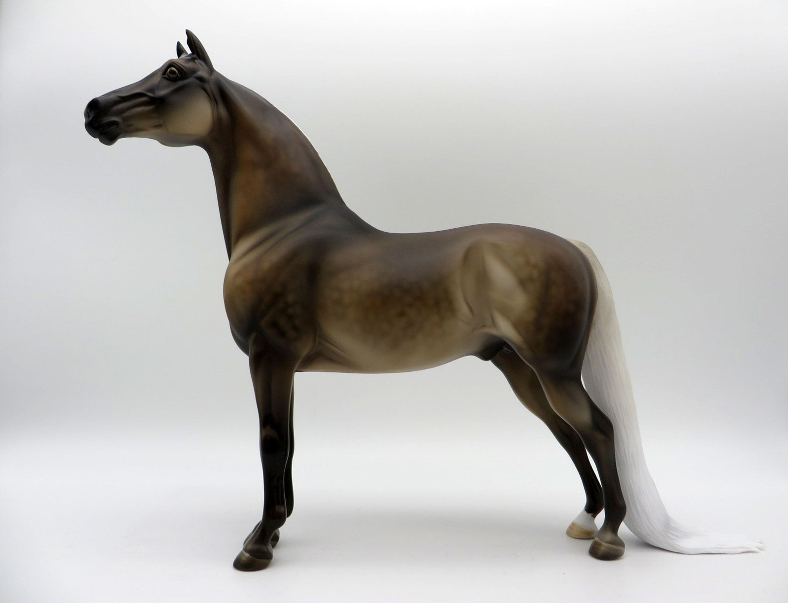 The Weatherman-LE-11 Silver Dapple Morgan  SHCF 2021