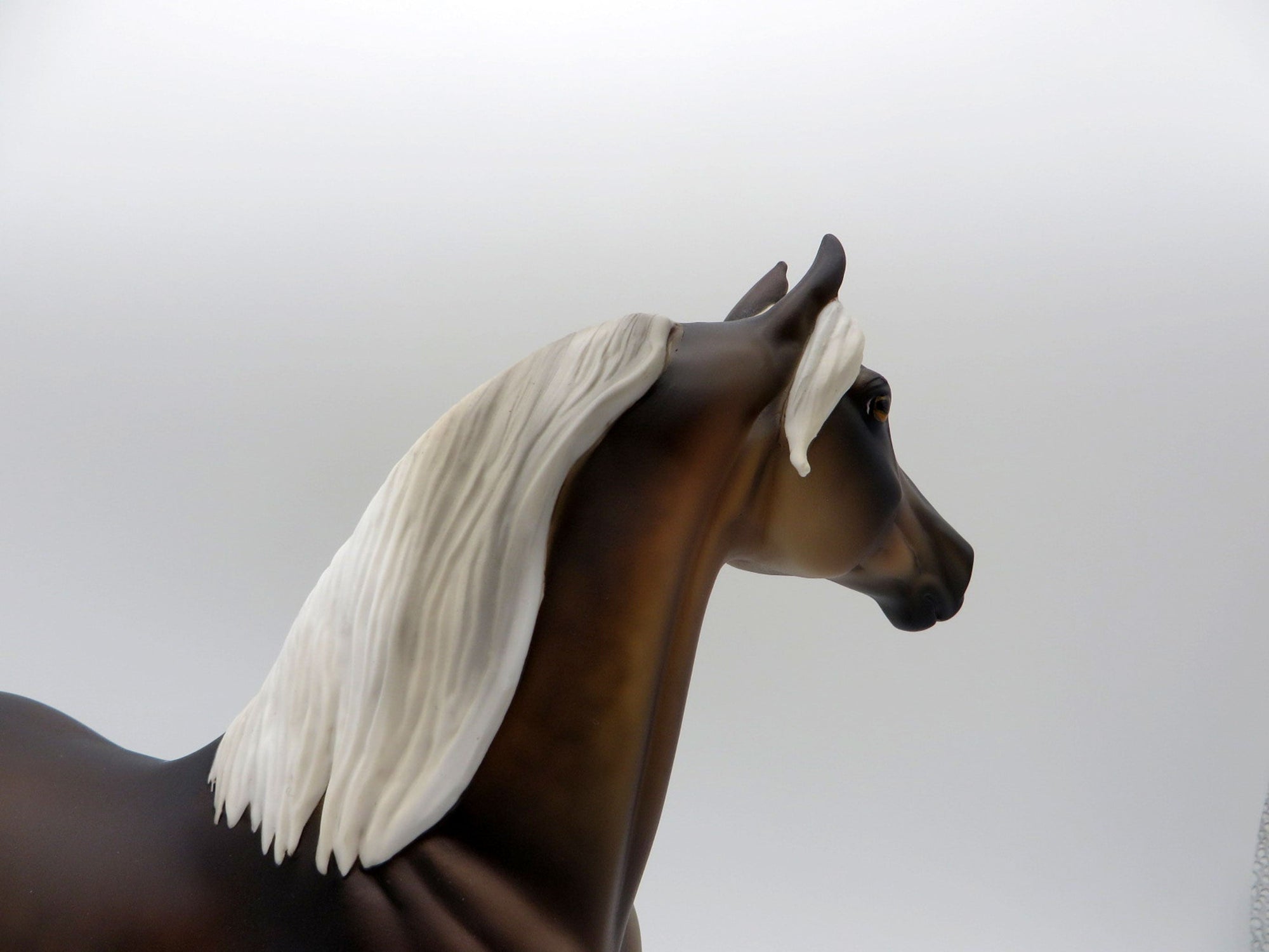 The Weatherman-LE-15 Silver Dapple Morgan  SHCF 2021