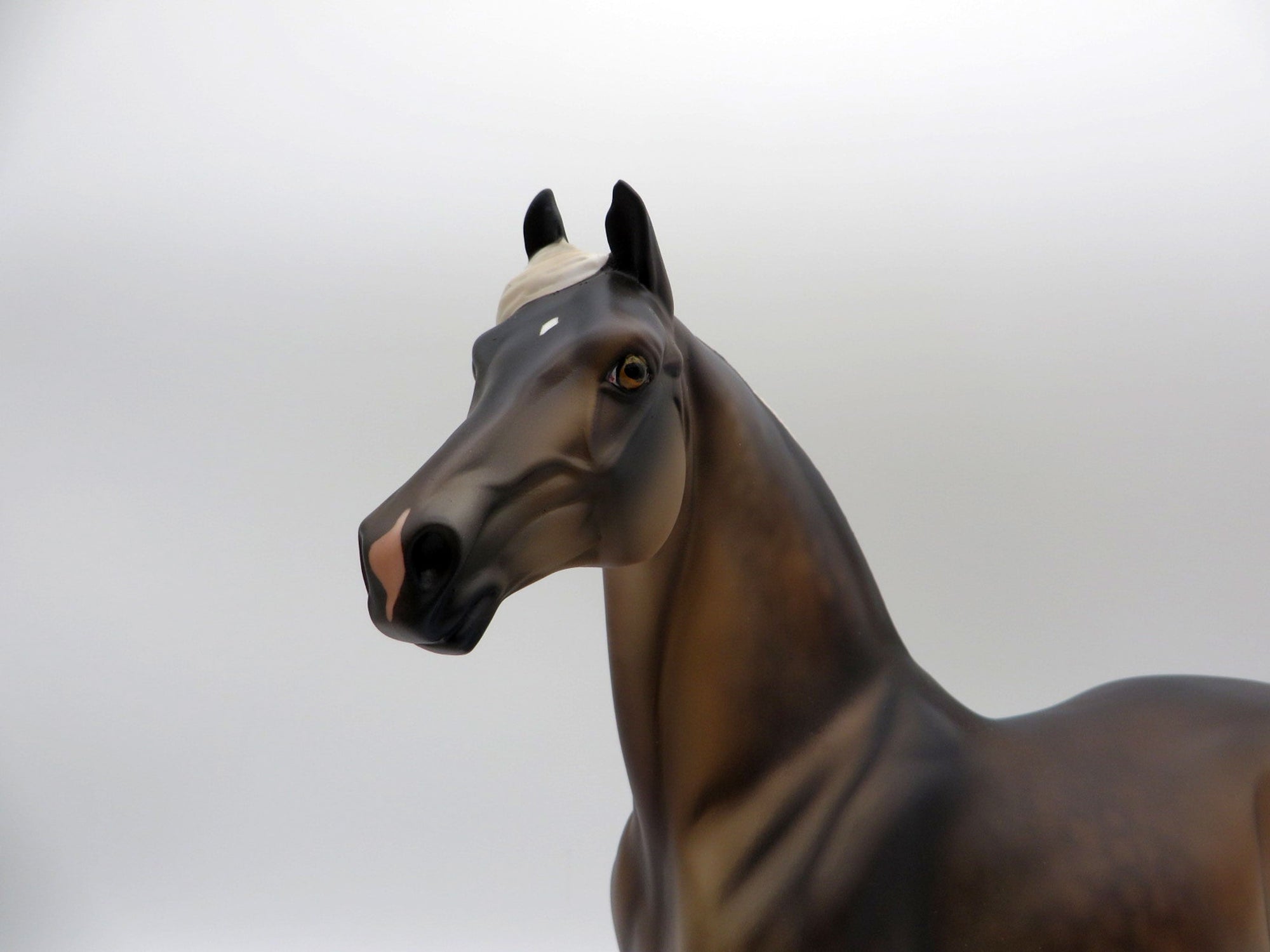 The Weatherman-LE-15 Silver Dapple Morgan  SHCF 2021