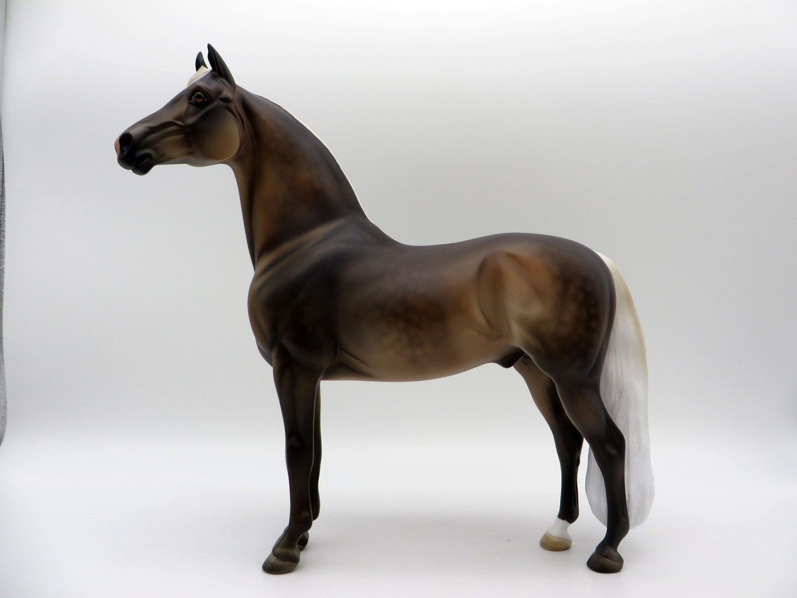 The Weatherman-LE-15 Silver Dapple Morgan  SHCF 2021