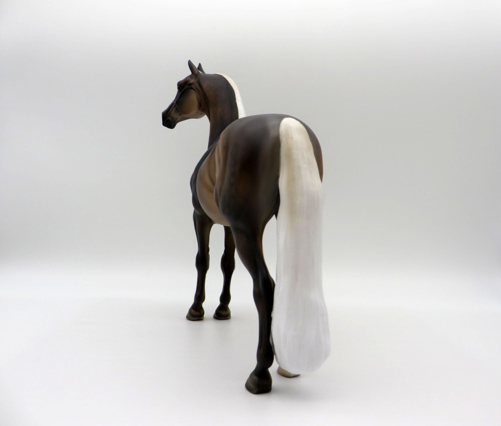 The Weatherman-LE-15 Silver Dapple Morgan  SHCF 2021