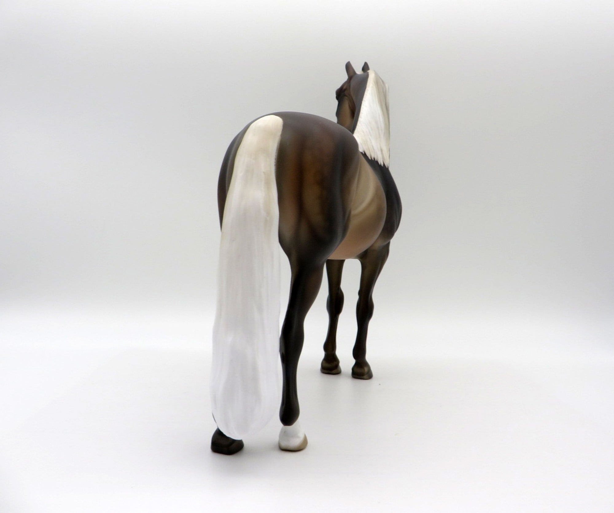 The Weatherman-LE-11 Silver Dapple Morgan  SHCF 2021