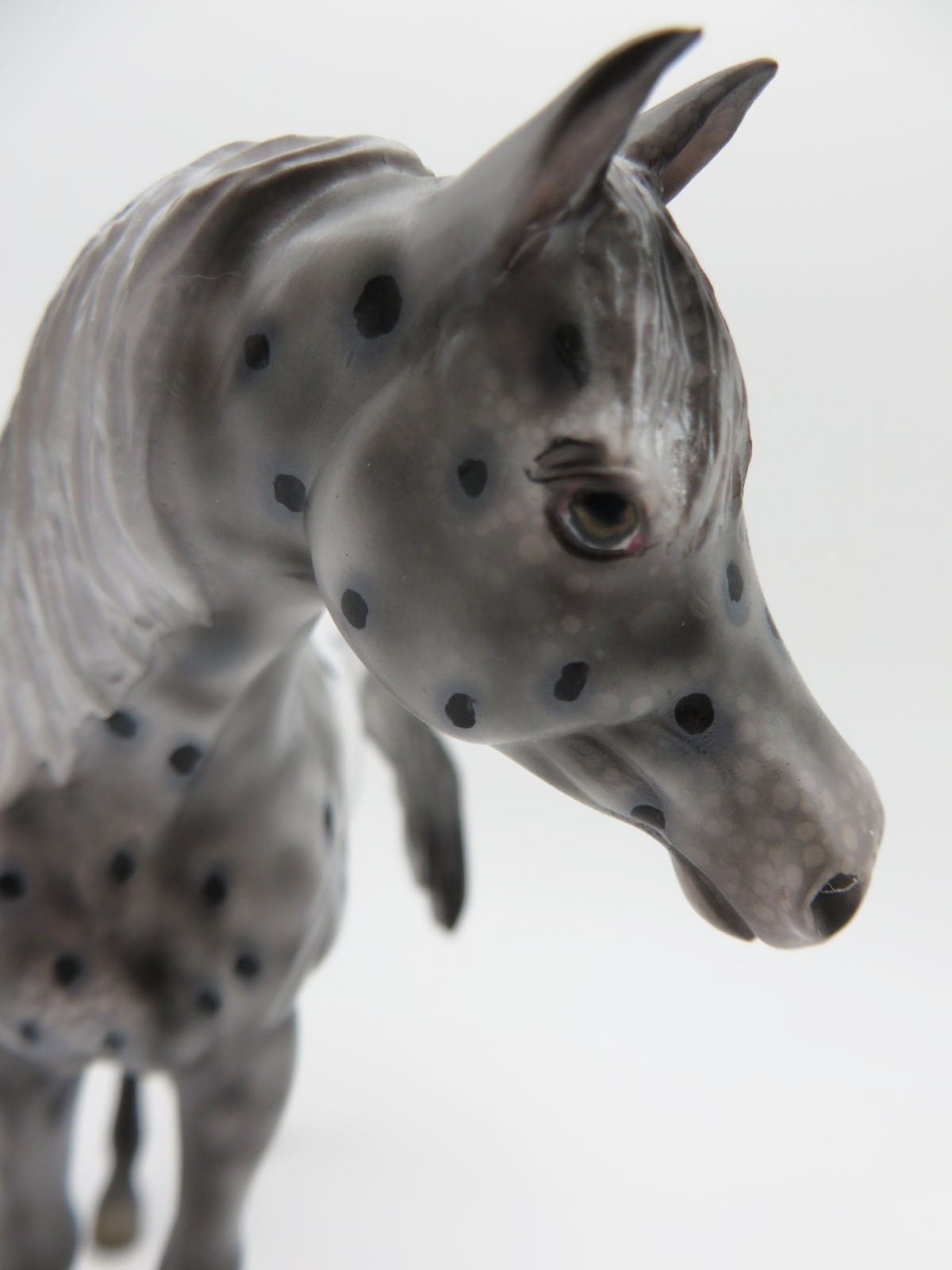 Welcome Winter - OOAK - Decorator Appaloosa Pebble Arabian with Wreath by Dawn Quick - Best Offers 12/27/22