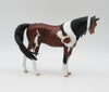 Welpe-OOAK Arabian Pebbles Pinto By Dawn Quick  P&amp;C 23