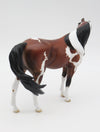 Welpe-OOAK Arabian Pebbles Pinto By Dawn Quick  P&amp;C 23