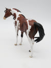 Welpe-OOAK Arabian Pebbles Pinto By Dawn Quick  P&amp;C 23