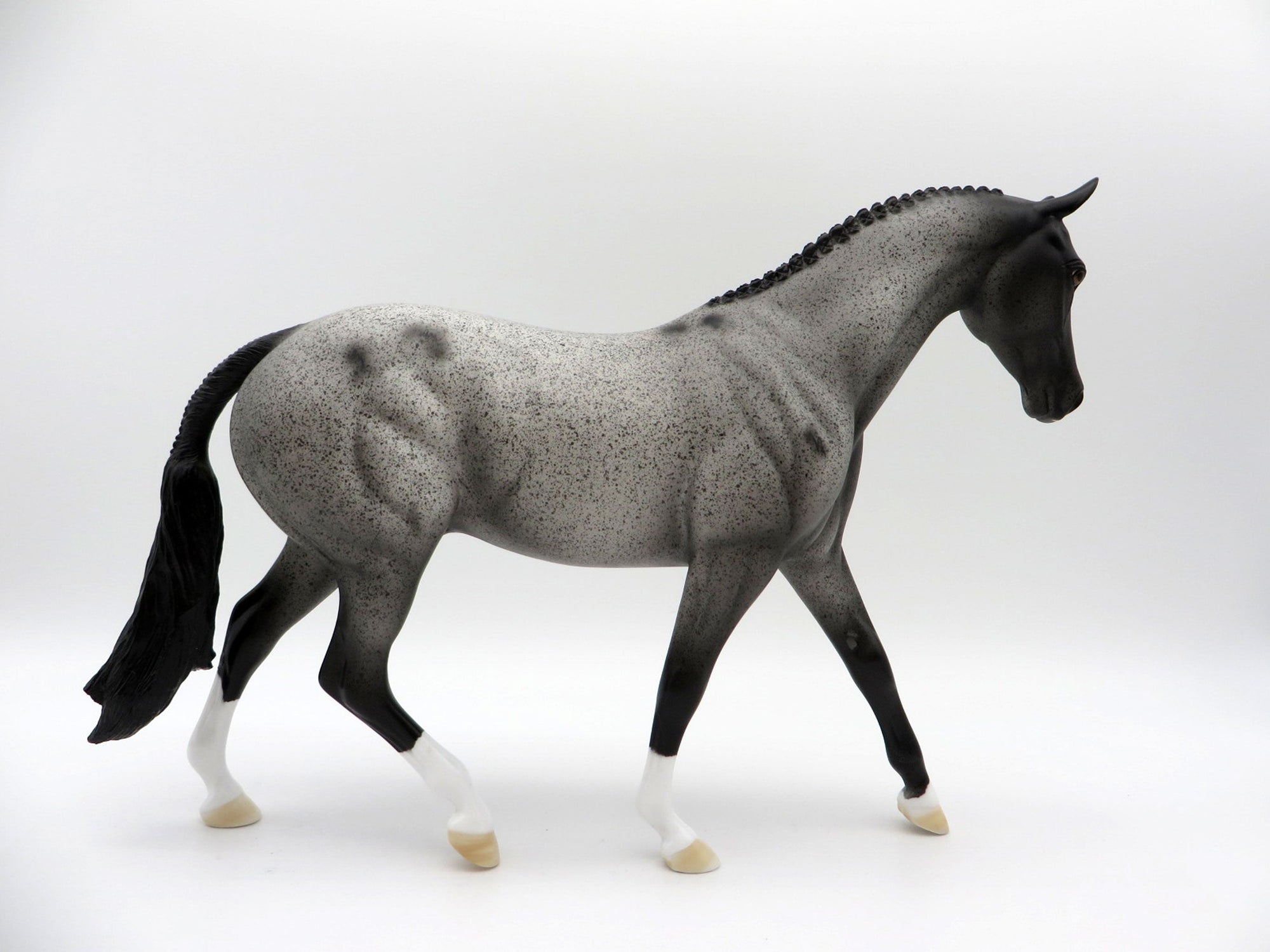Westwind-OOAK Blue Roan Pony SHCF 2021