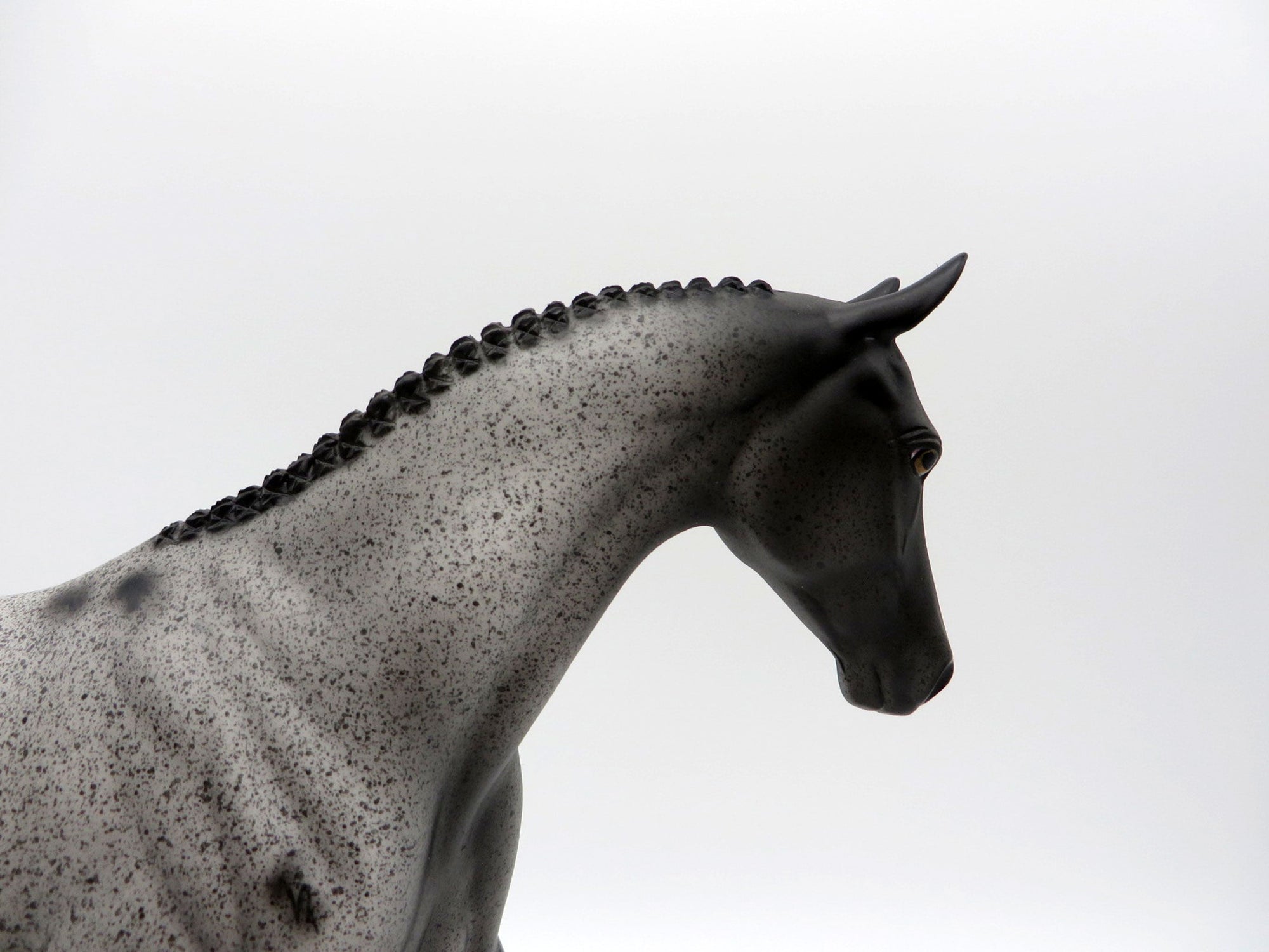 Westwind-OOAK Blue Roan Pony SHCF 2021