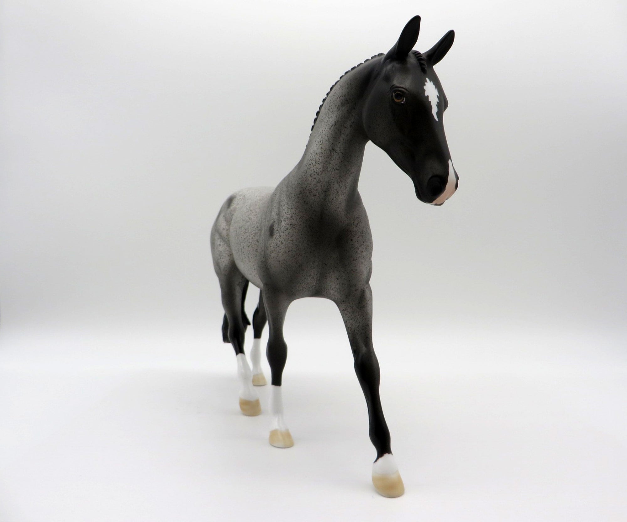 Westwind-OOAK Blue Roan Pony SHCF 2021