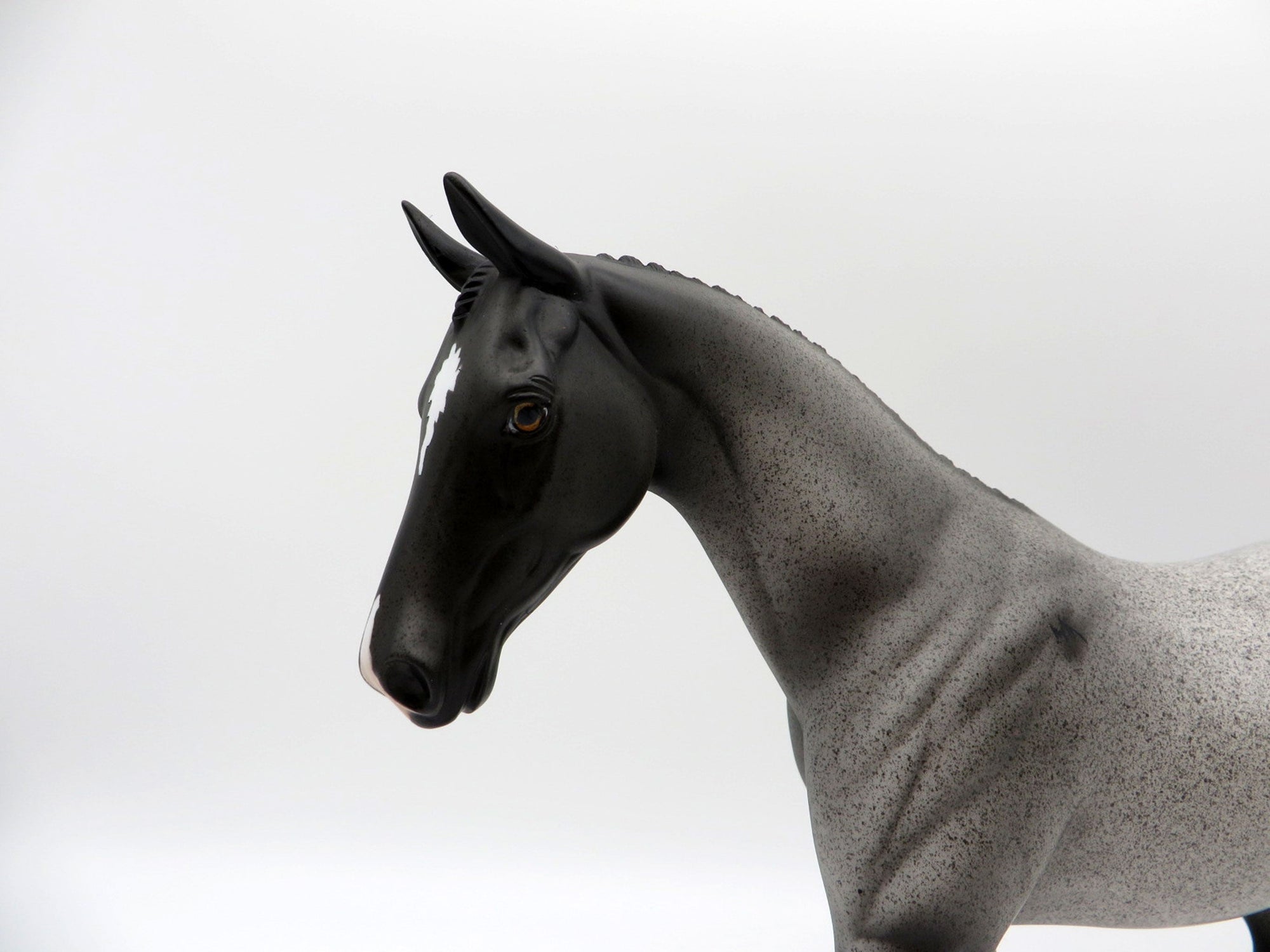 Westwind-OOAK Blue Roan Pony SHCF 2021